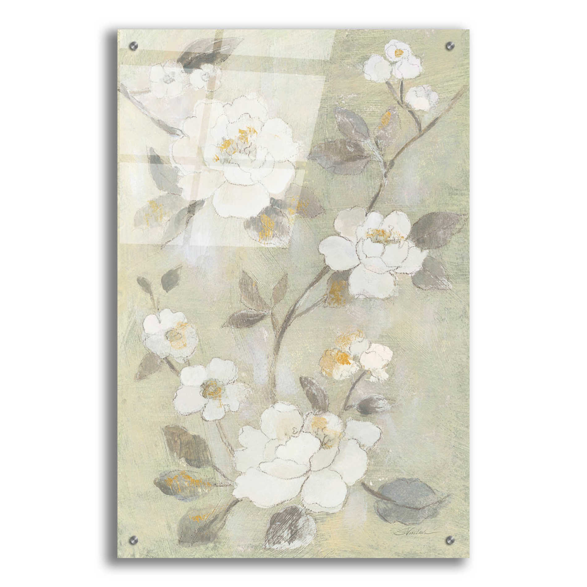 Epic Art 'Romantic Spring Flowers I White' by Silvia Vassileva, Acrylic Glass Wall Art,24x36