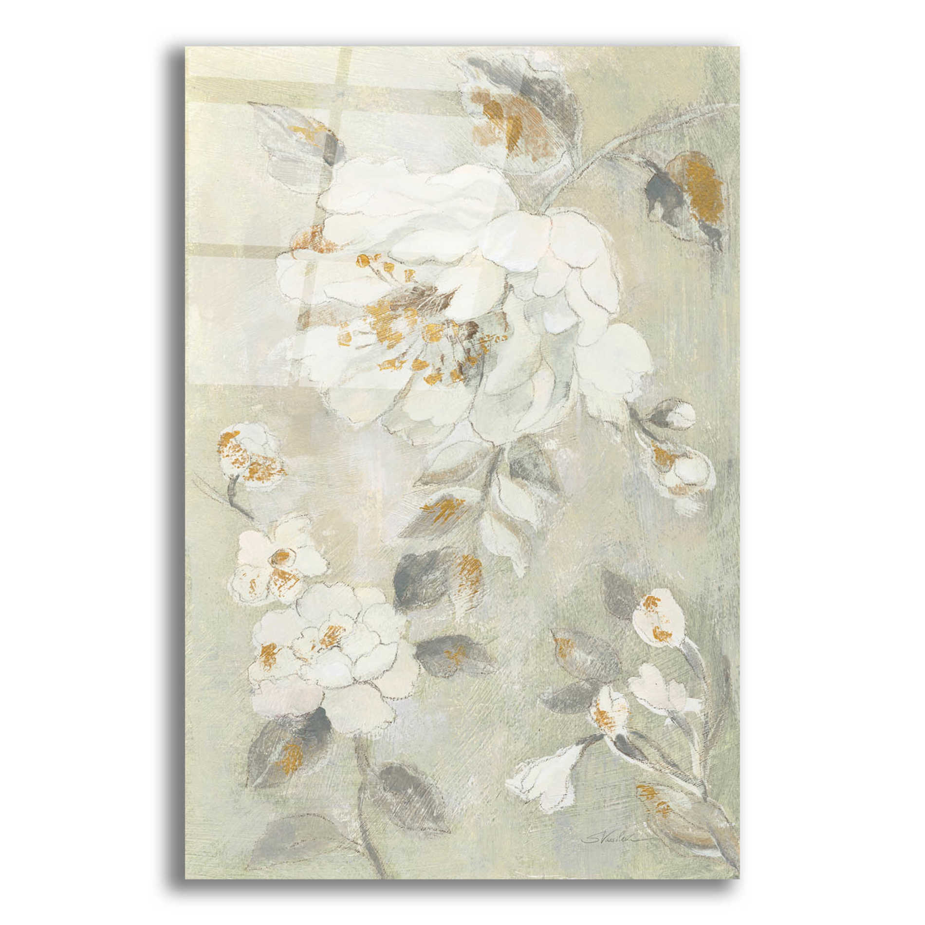 Epic Art 'Romantic Spring Flowers II White' by Silvia Vassileva, Acrylic Glass Wall Art,12x16