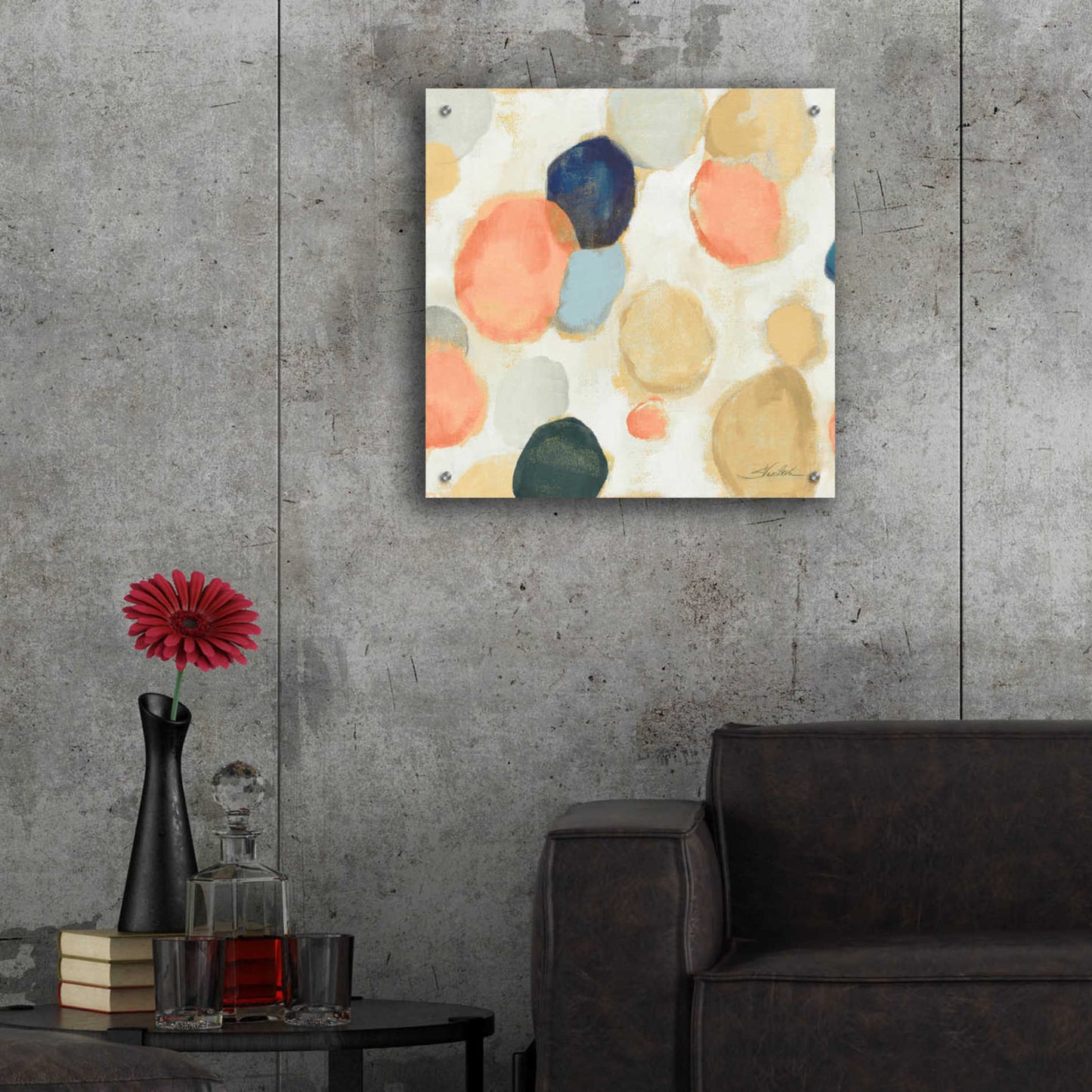 Epic Art 'Painted Pebbles II Boho' by Silvia Vassileva, Acrylic Glass Wall Art,24x24