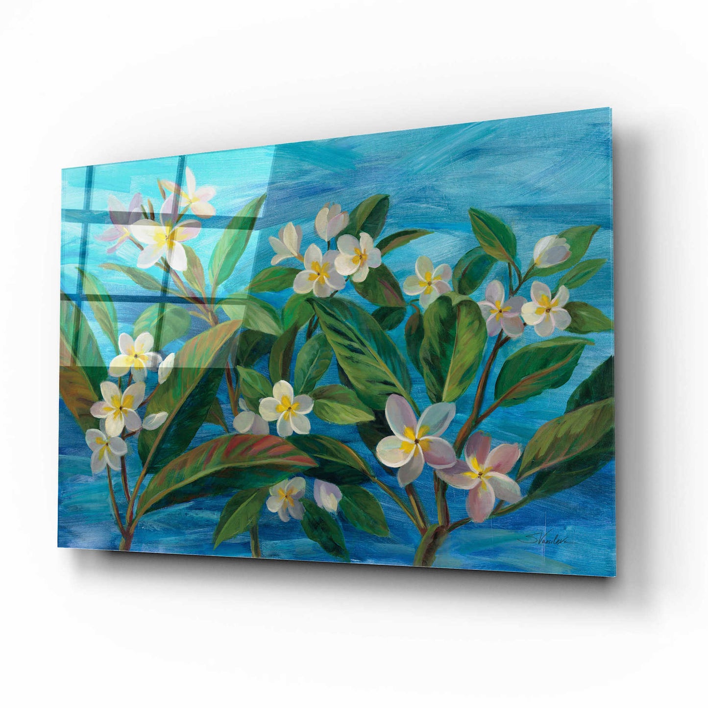 Epic Art 'Oceanside Plumeria' by Silvia Vassileva, Acrylic Glass Wall Art,16x12