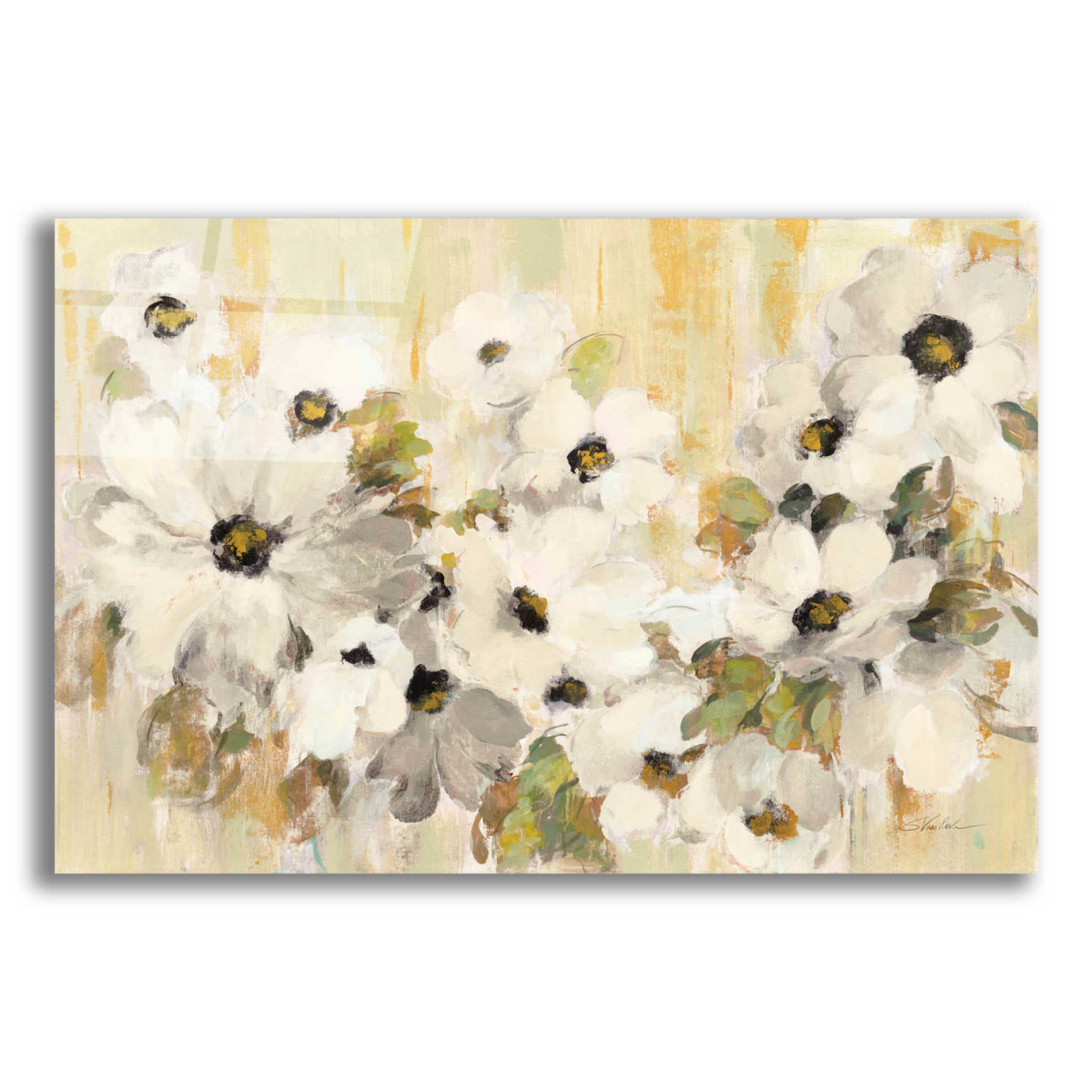 Epic Art 'White and Green Bloom' by Silvia Vassileva, Acrylic Glass Wall Art,16x12