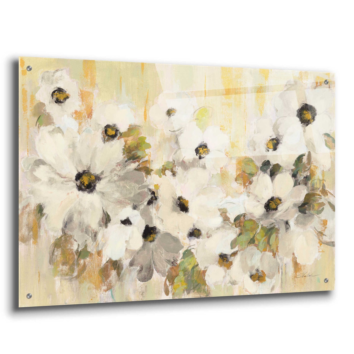 Epic Art 'White and Green Bloom' by Silvia Vassileva, Acrylic Glass Wall Art,36x24