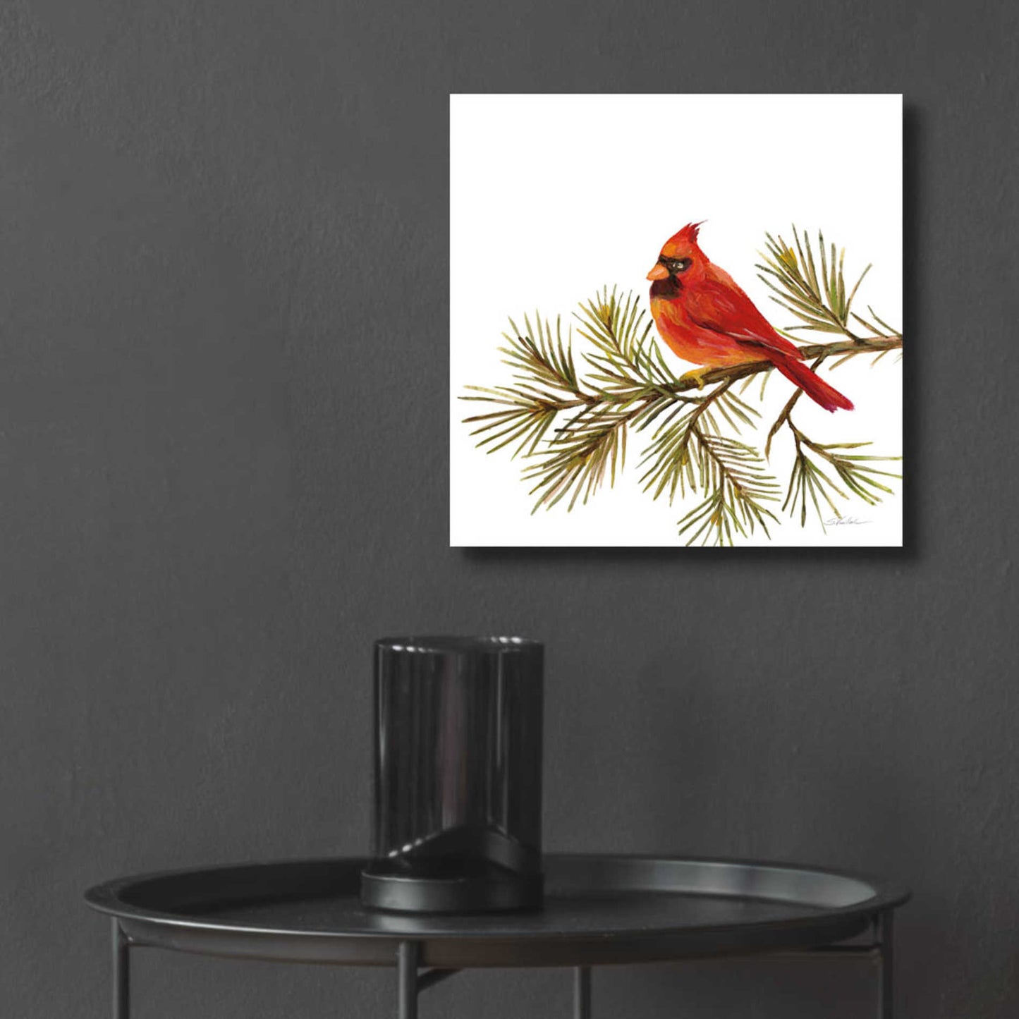 Epic Art 'Cardinal Christmas V on White' by Silvia Vassileva, Acrylic Glass Wall Art,12x12