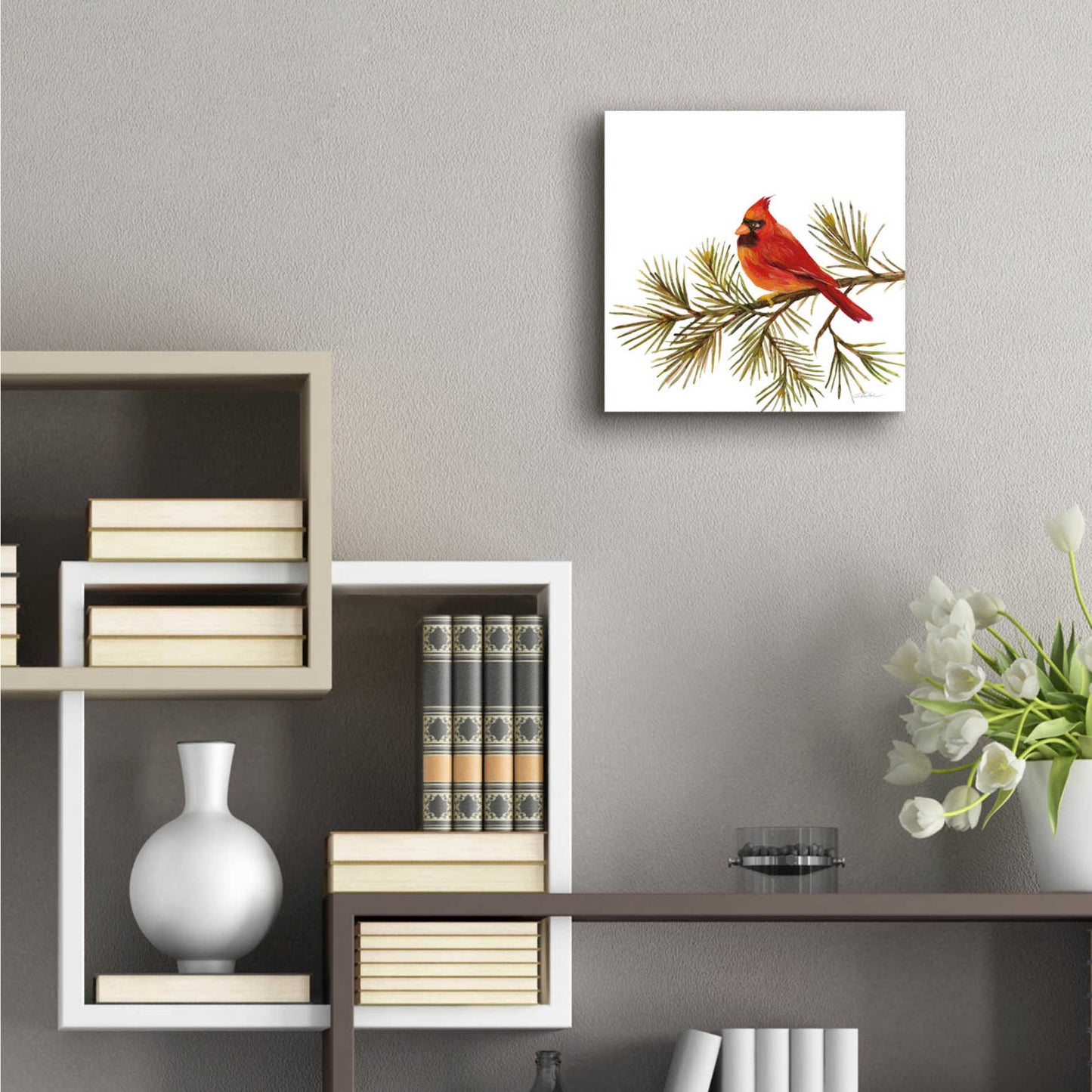 Epic Art 'Cardinal Christmas V on White' by Silvia Vassileva, Acrylic Glass Wall Art,12x12