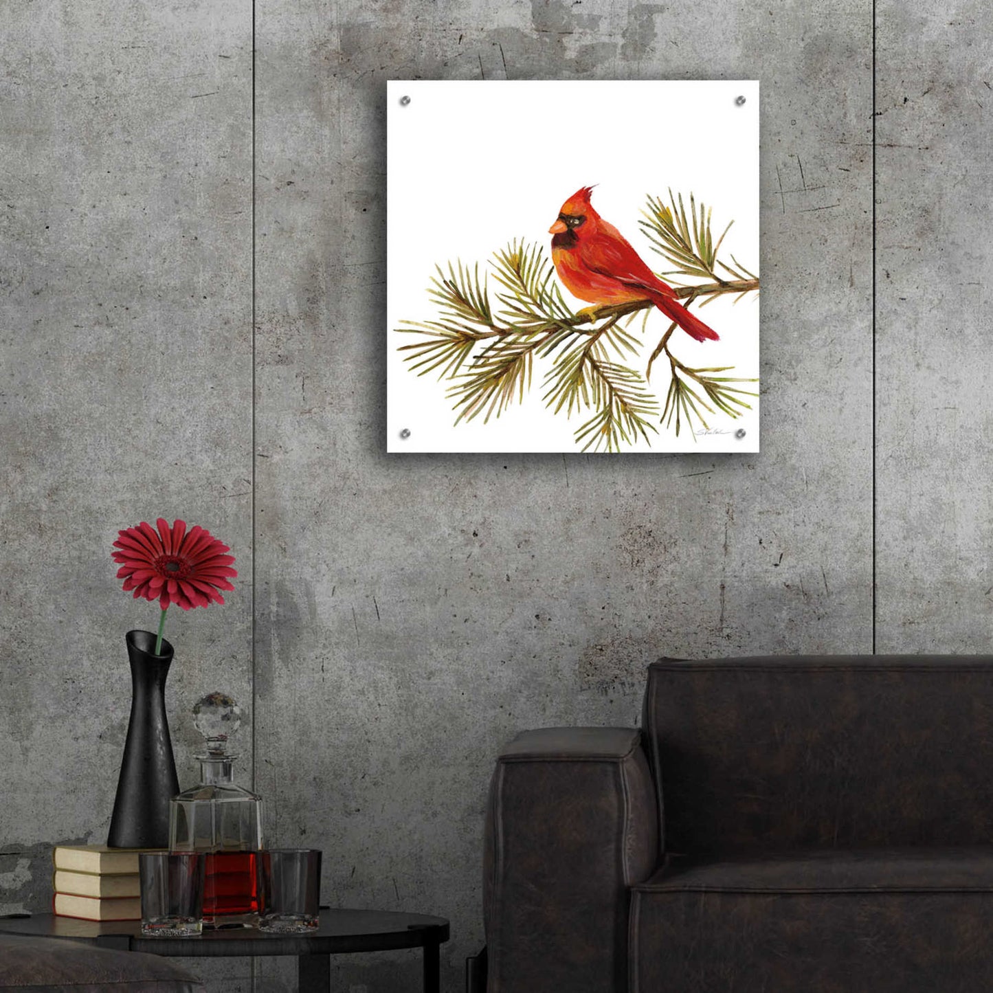 Epic Art 'Cardinal Christmas V on White' by Silvia Vassileva, Acrylic Glass Wall Art,24x24