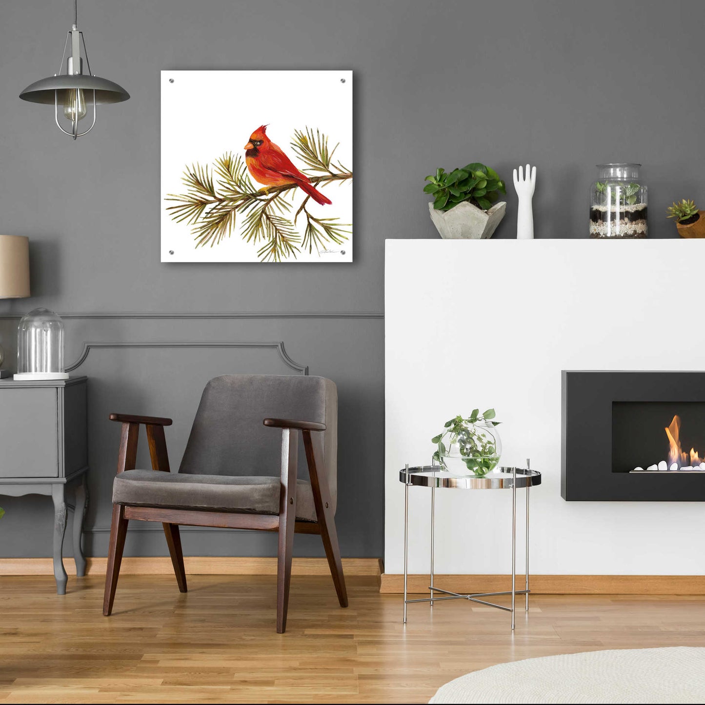 Epic Art 'Cardinal Christmas V on White' by Silvia Vassileva, Acrylic Glass Wall Art,24x24