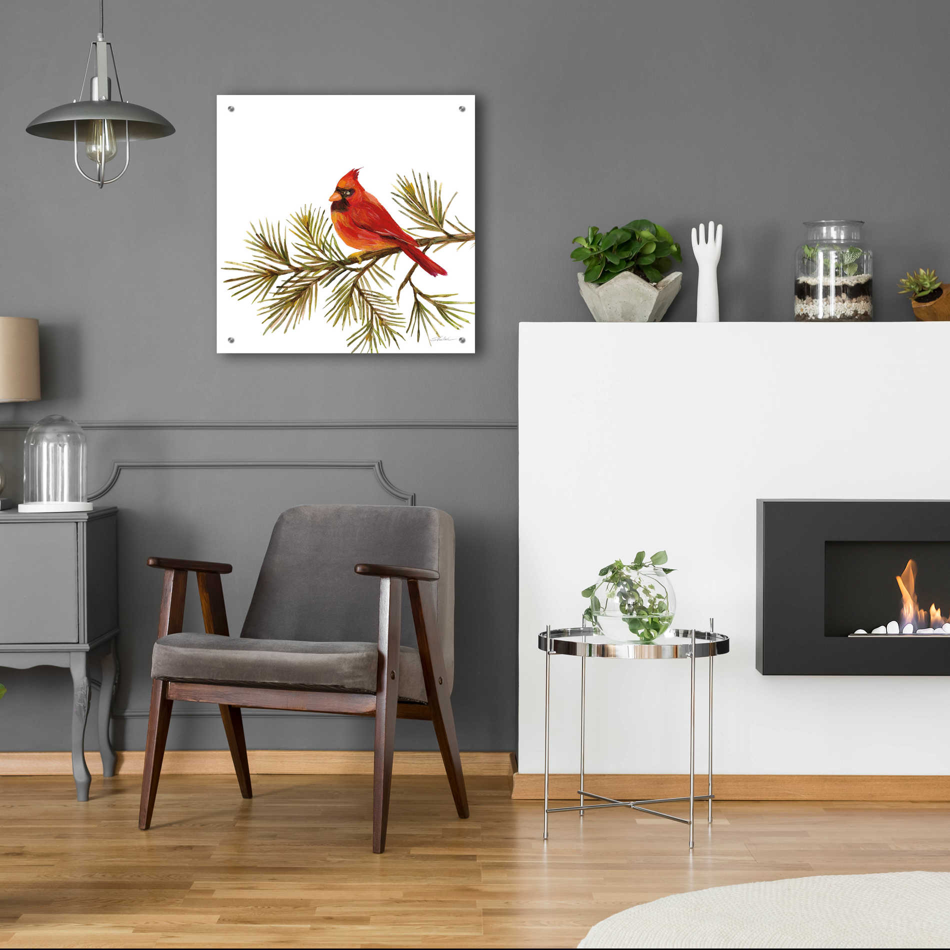 Epic Art 'Cardinal Christmas V on White' by Silvia Vassileva, Acrylic Glass Wall Art,24x24