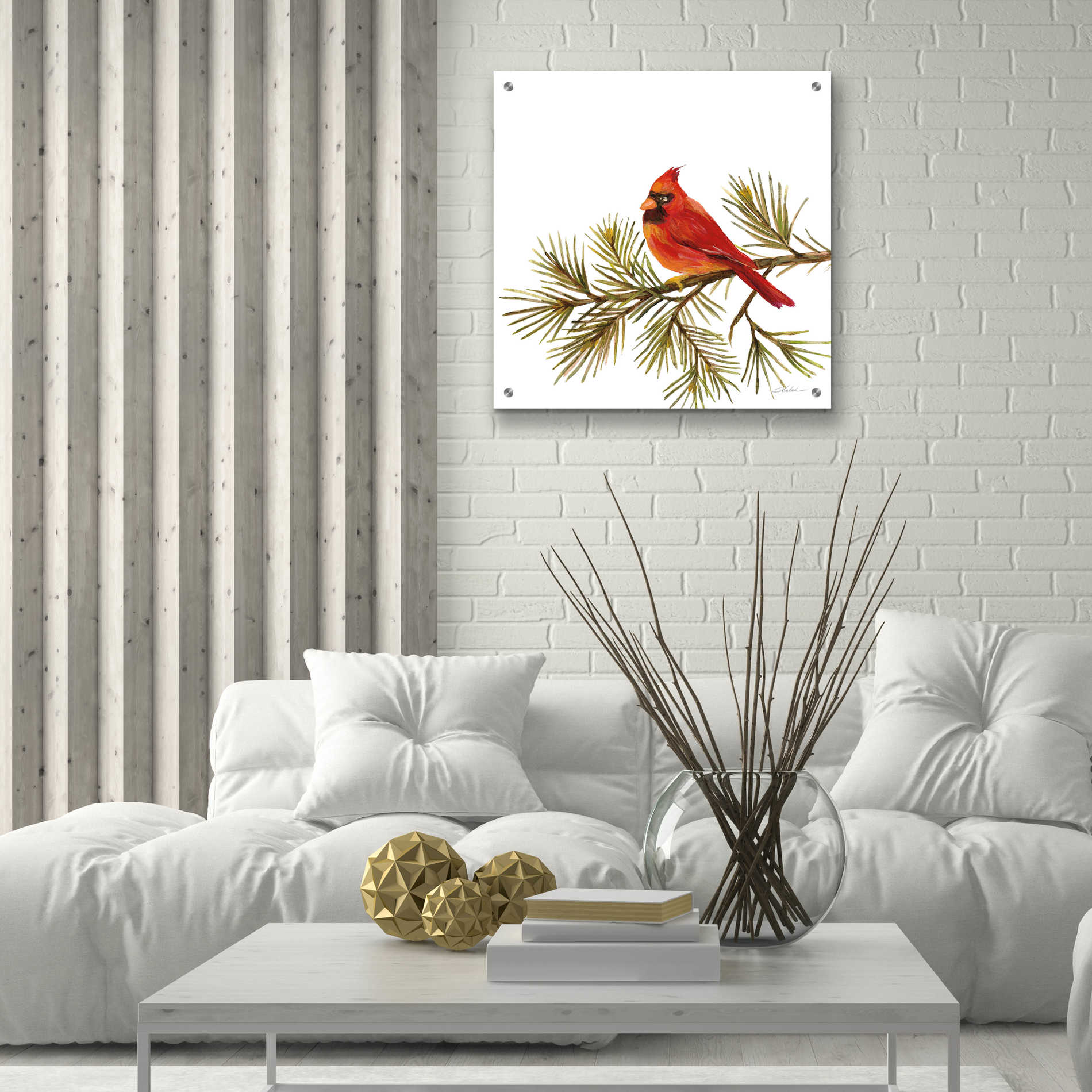 Epic Art 'Cardinal Christmas V on White' by Silvia Vassileva, Acrylic Glass Wall Art,24x24