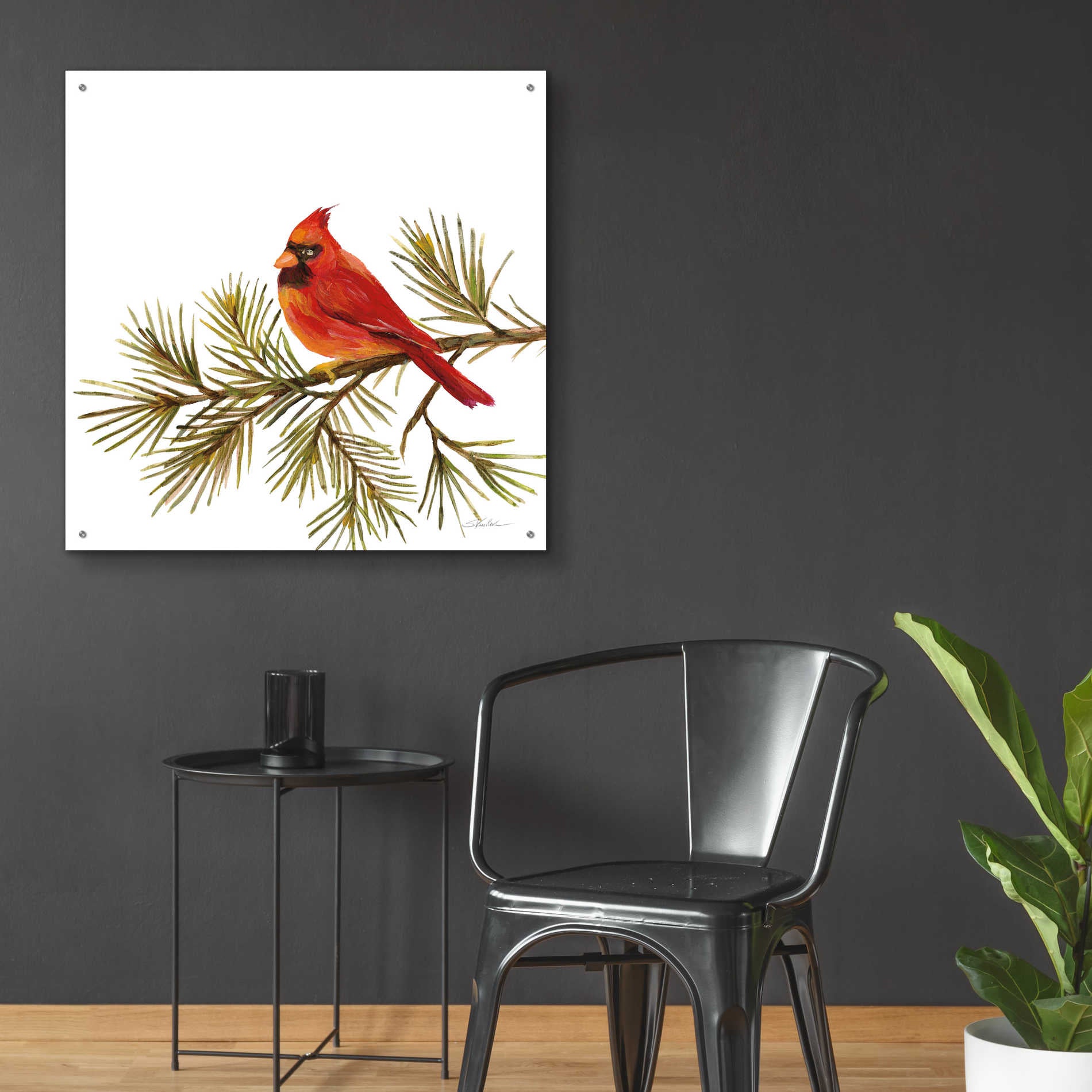 Epic Art 'Cardinal Christmas V on White' by Silvia Vassileva, Acrylic Glass Wall Art,36x36