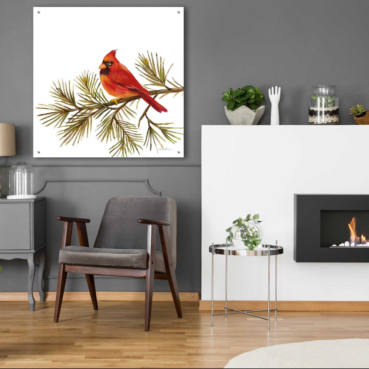 Epic Art 'Cardinal Christmas V on White' by Silvia Vassileva, Acrylic Glass Wall Art,36x36