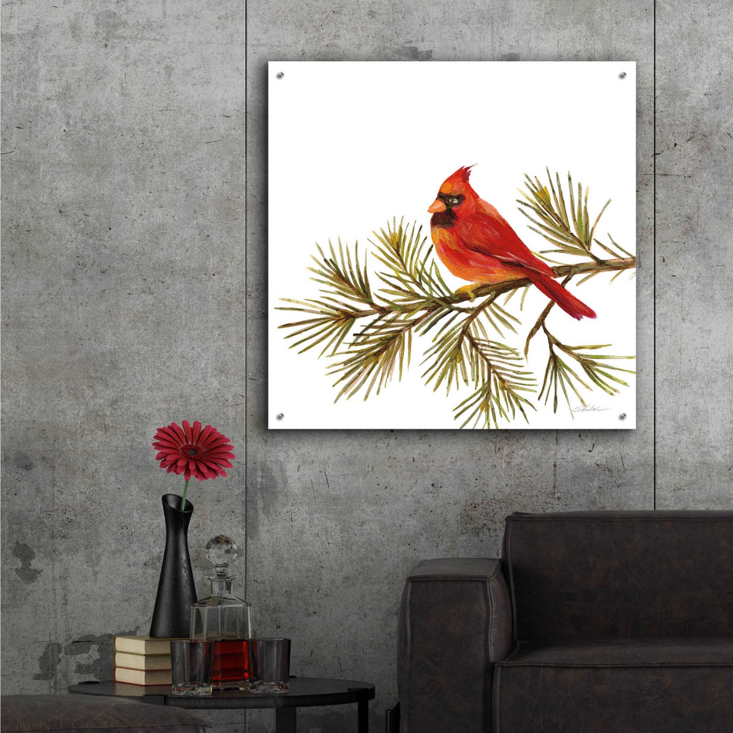 Epic Art 'Cardinal Christmas V on White' by Silvia Vassileva, Acrylic Glass Wall Art,36x36