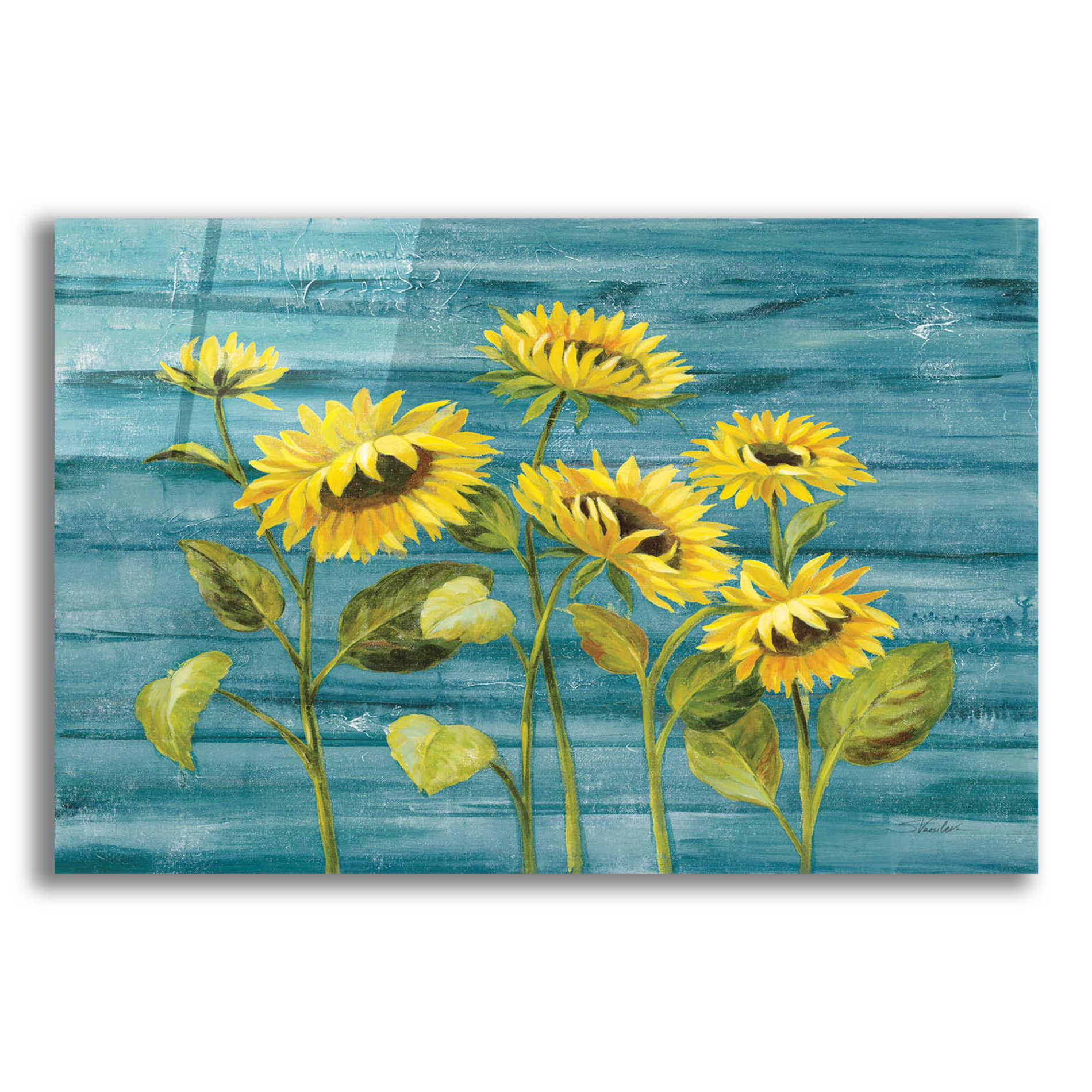 Epic Art 'Cottage Sunflowers Teal' by Silvia Vassileva, Acrylic Glass Wall Art,16x12