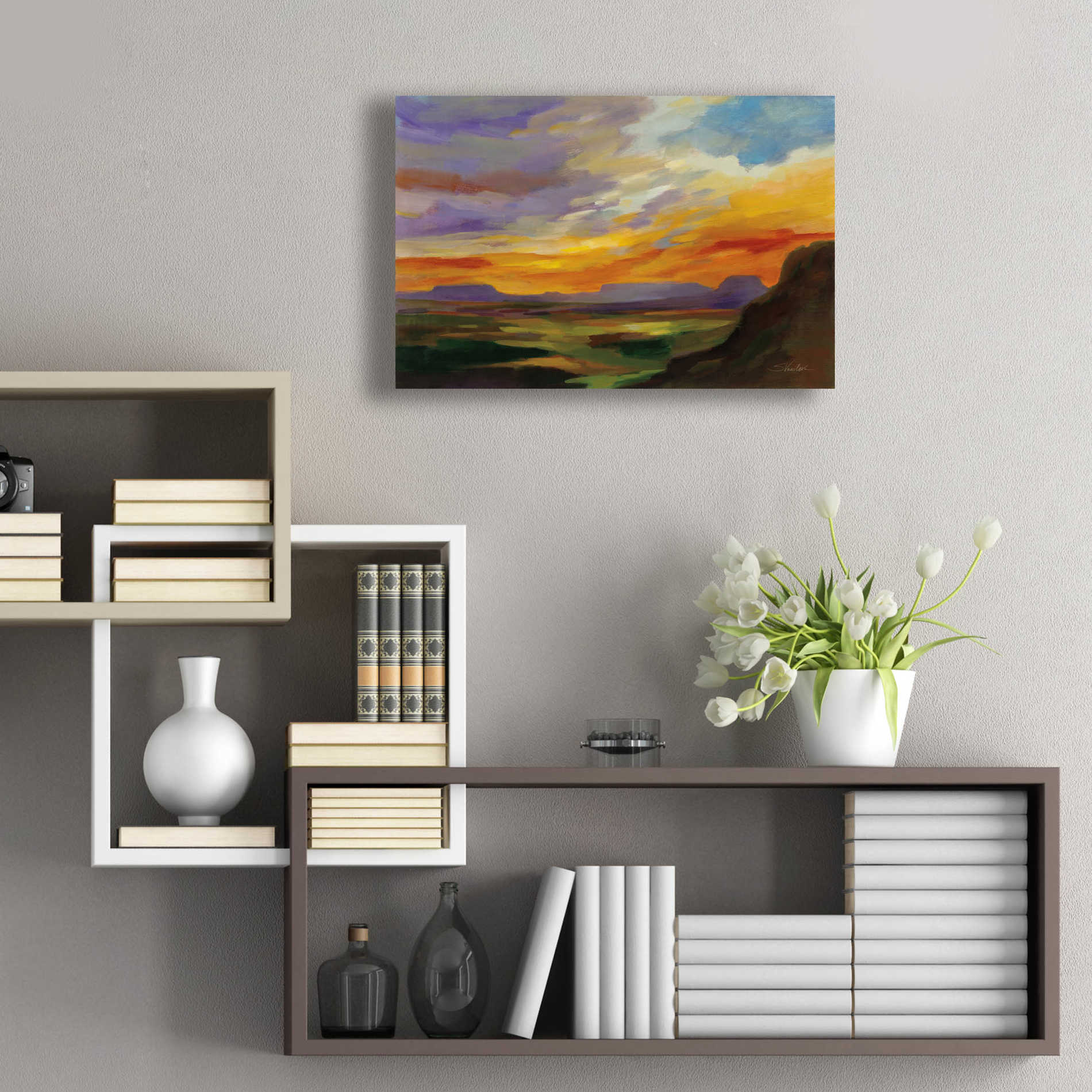 Epic Art 'Sonoran Desert Sunset' by Silvia Vassileva, Acrylic Glass Wall Art,24x16