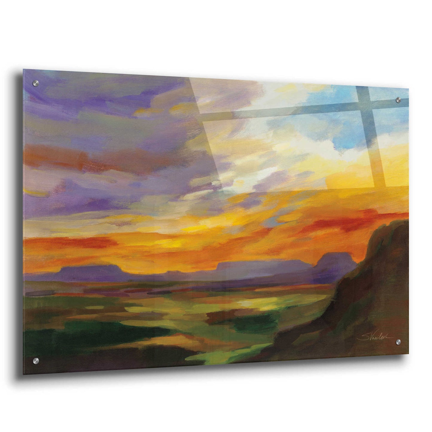 Epic Art 'Sonoran Desert Sunset' by Silvia Vassileva, Acrylic Glass Wall Art,36x24