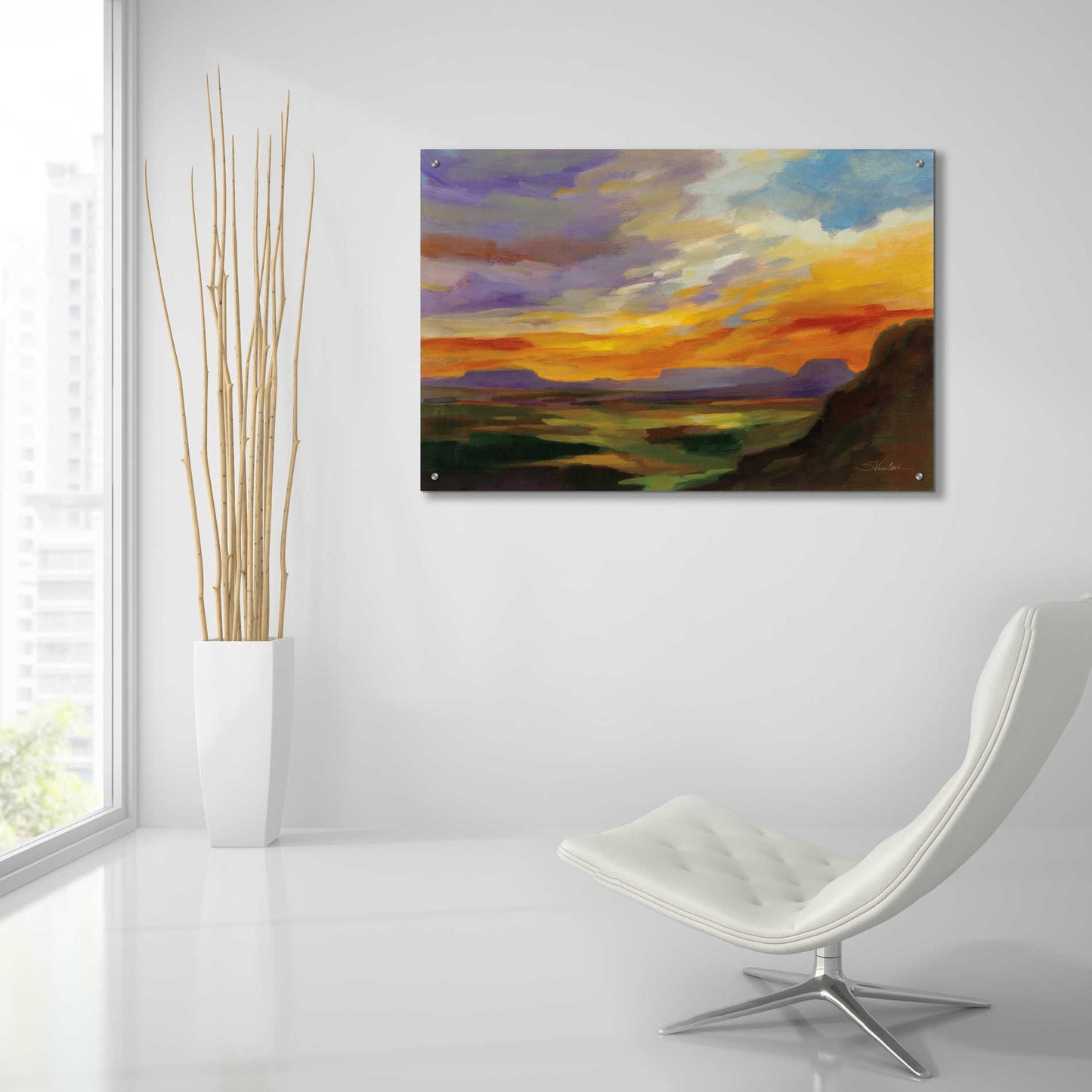 Epic Art 'Sonoran Desert Sunset' by Silvia Vassileva, Acrylic Glass Wall Art,36x24