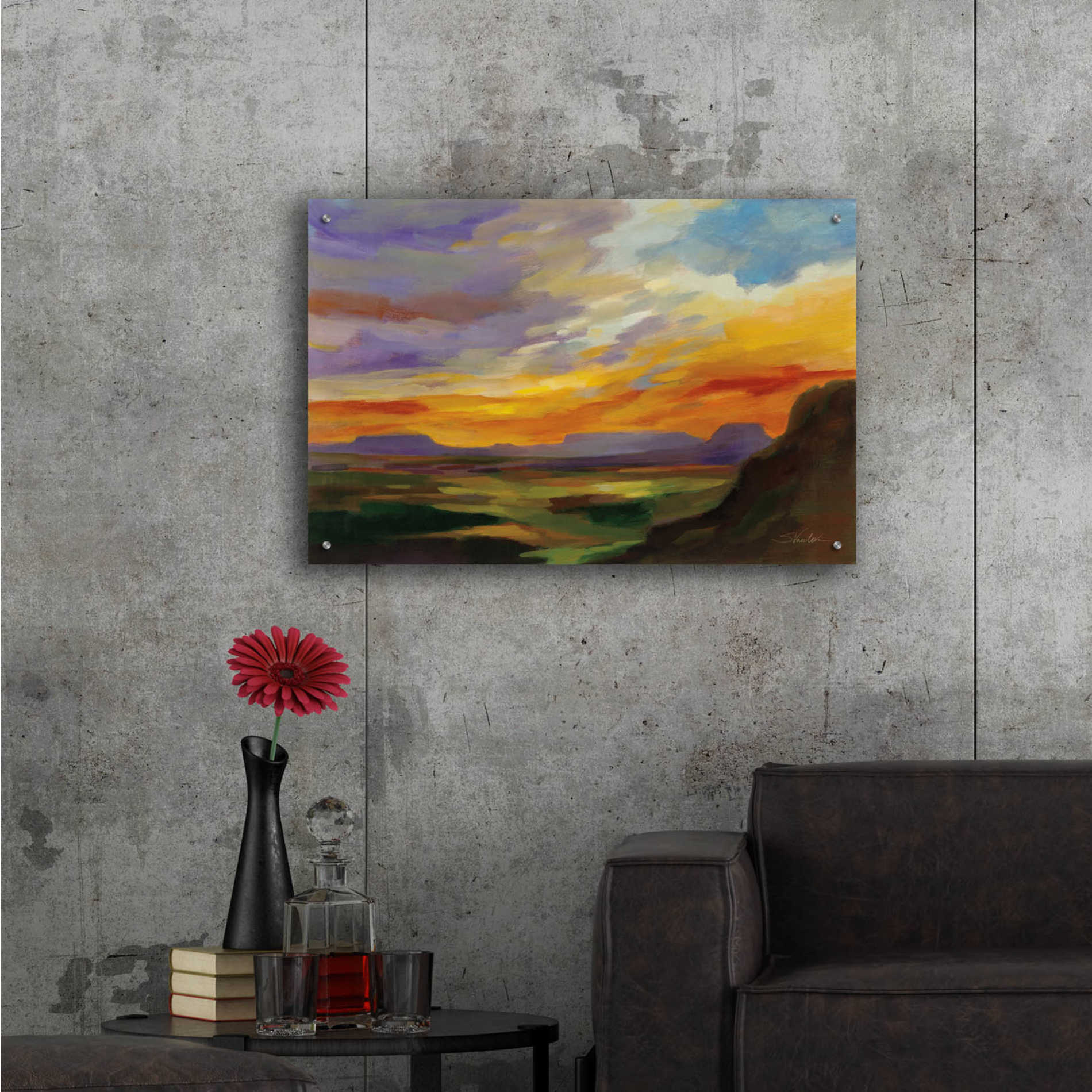 Epic Art 'Sonoran Desert Sunset' by Silvia Vassileva, Acrylic Glass Wall Art,36x24