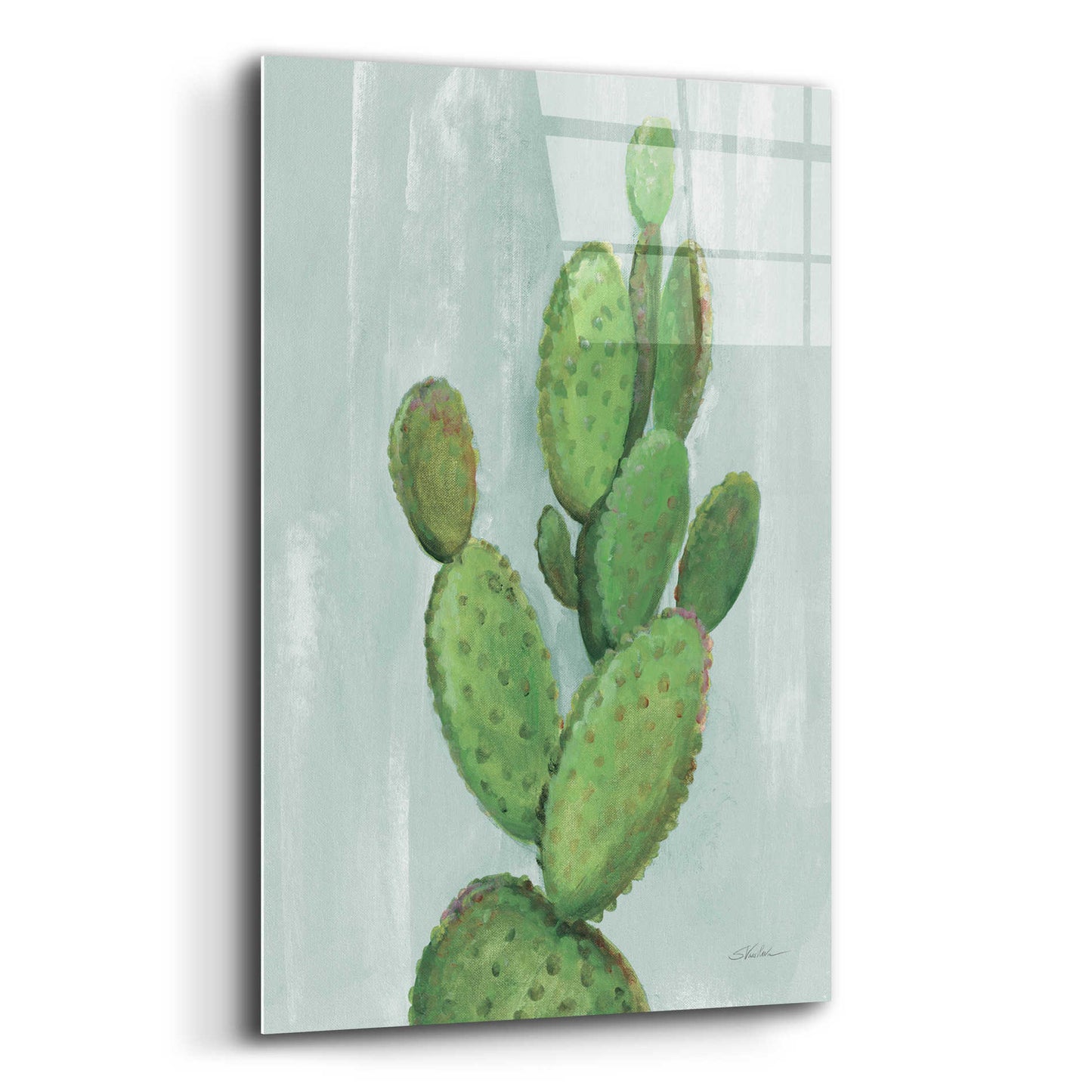 Epic Art 'Front Yard Cactus I Slate' by Silvia Vassileva, Acrylic Glass Wall Art,12x16