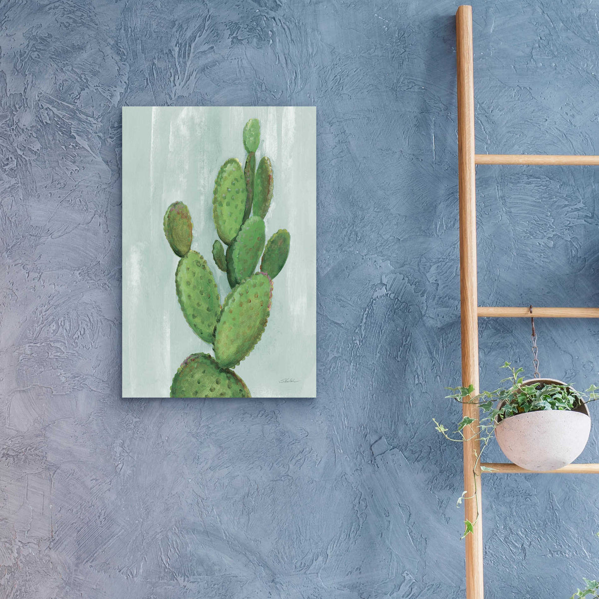 Epic Art 'Front Yard Cactus I Slate' by Silvia Vassileva, Acrylic Glass Wall Art,16x24