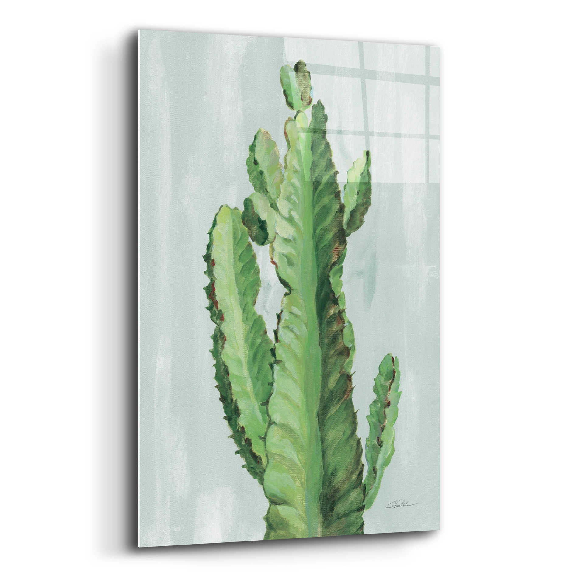 Epic Art 'Front Yard Cactus II Slate' by Silvia Vassileva, Acrylic Glass Wall Art,12x16