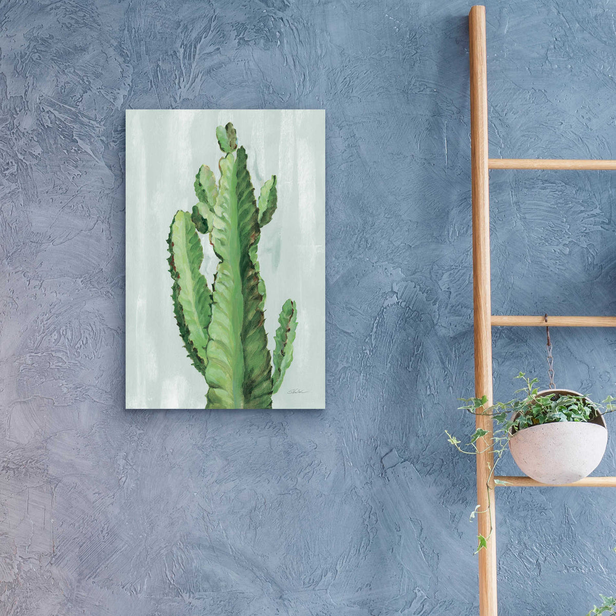 Epic Art 'Front Yard Cactus II Slate' by Silvia Vassileva, Acrylic Glass Wall Art,16x24