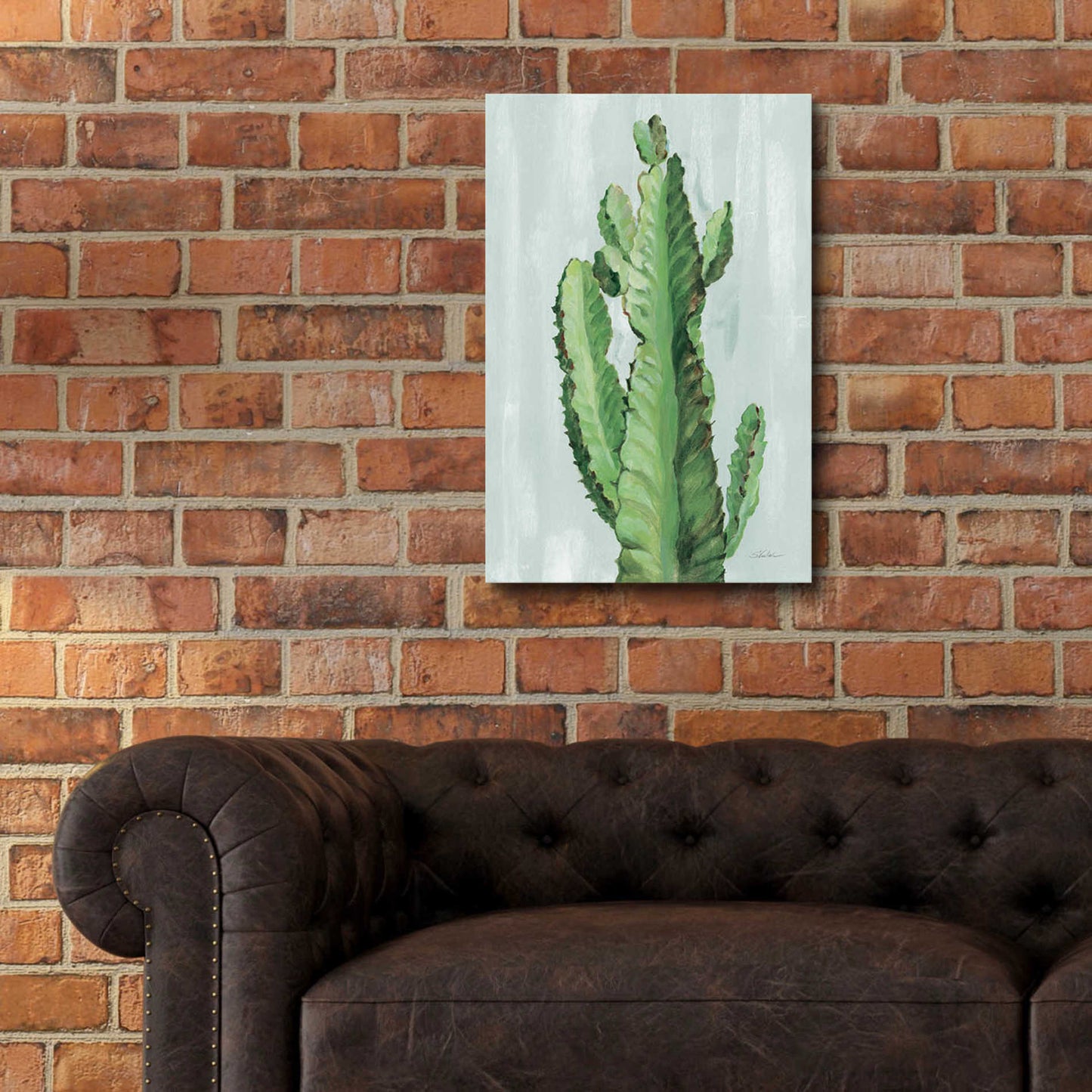 Epic Art 'Front Yard Cactus II Slate' by Silvia Vassileva, Acrylic Glass Wall Art,16x24