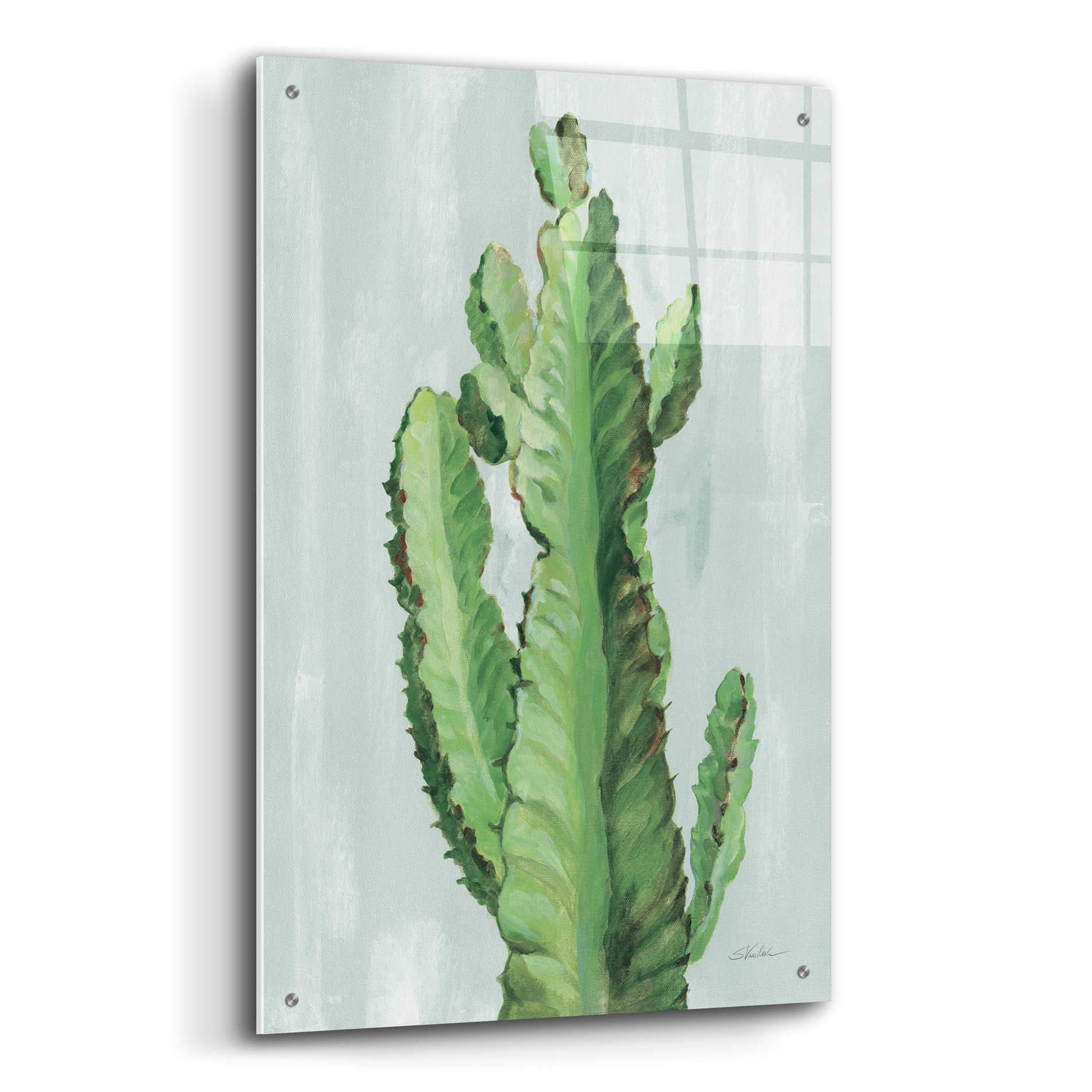 Epic Art 'Front Yard Cactus II Slate' by Silvia Vassileva, Acrylic Glass Wall Art,24x36