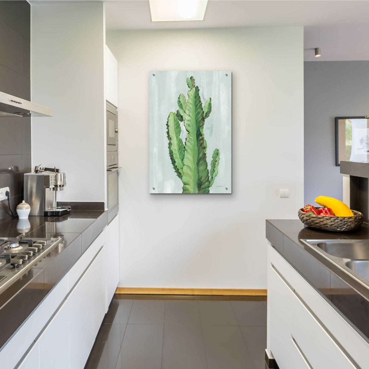 Epic Art 'Front Yard Cactus II Slate' by Silvia Vassileva, Acrylic Glass Wall Art,24x36