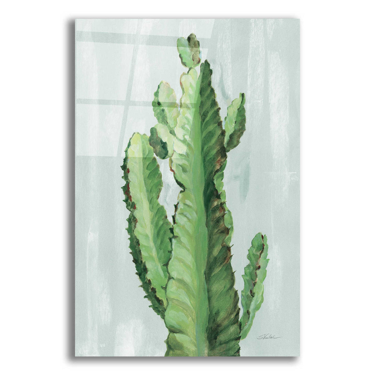 Epic Art 'Front Yard Cactus II Slate' by Silvia Vassileva, Acrylic Glass Wall Art