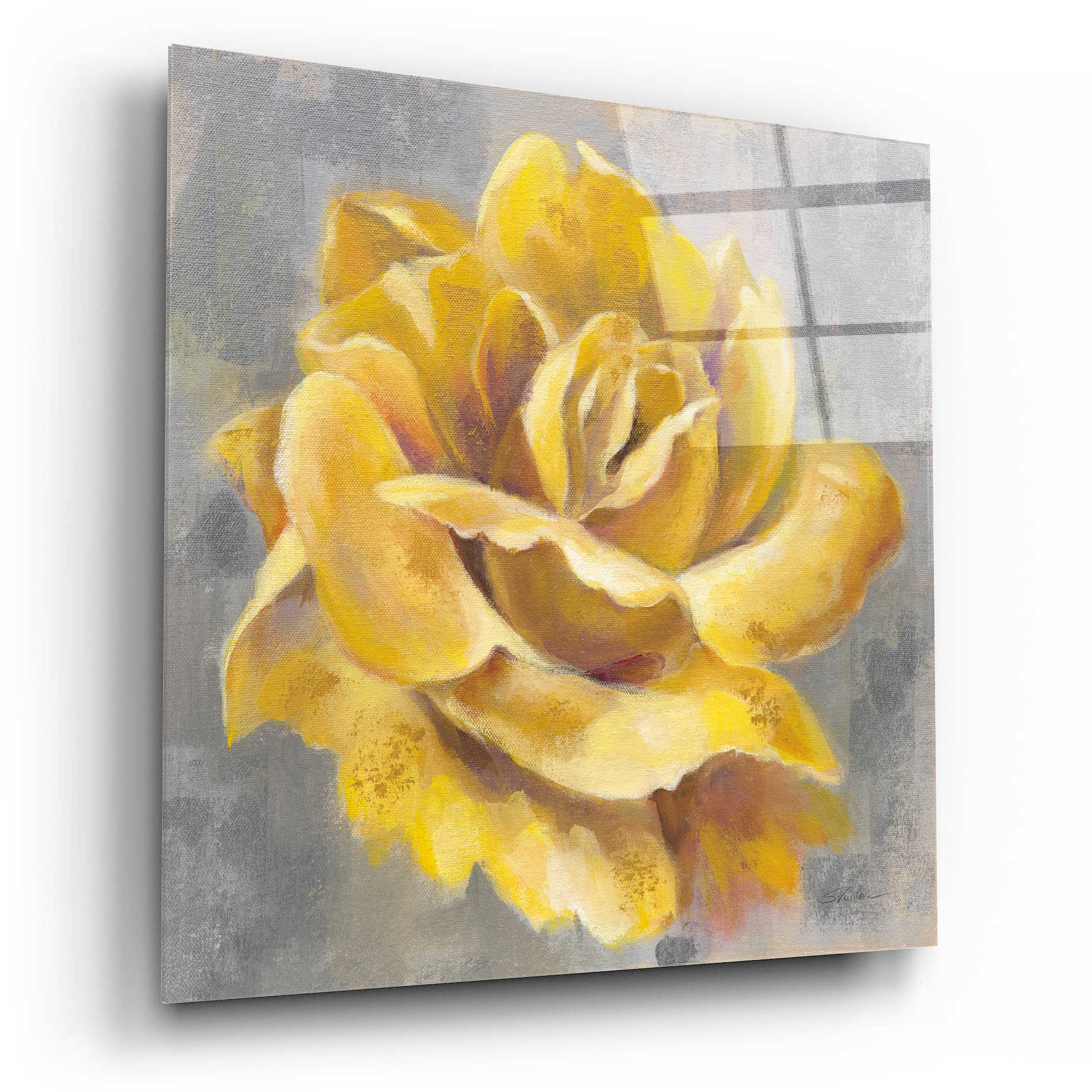 Epic Art 'Yellow Roses I' by Silvia Vassileva, Acrylic Glass Wall Art,12x12