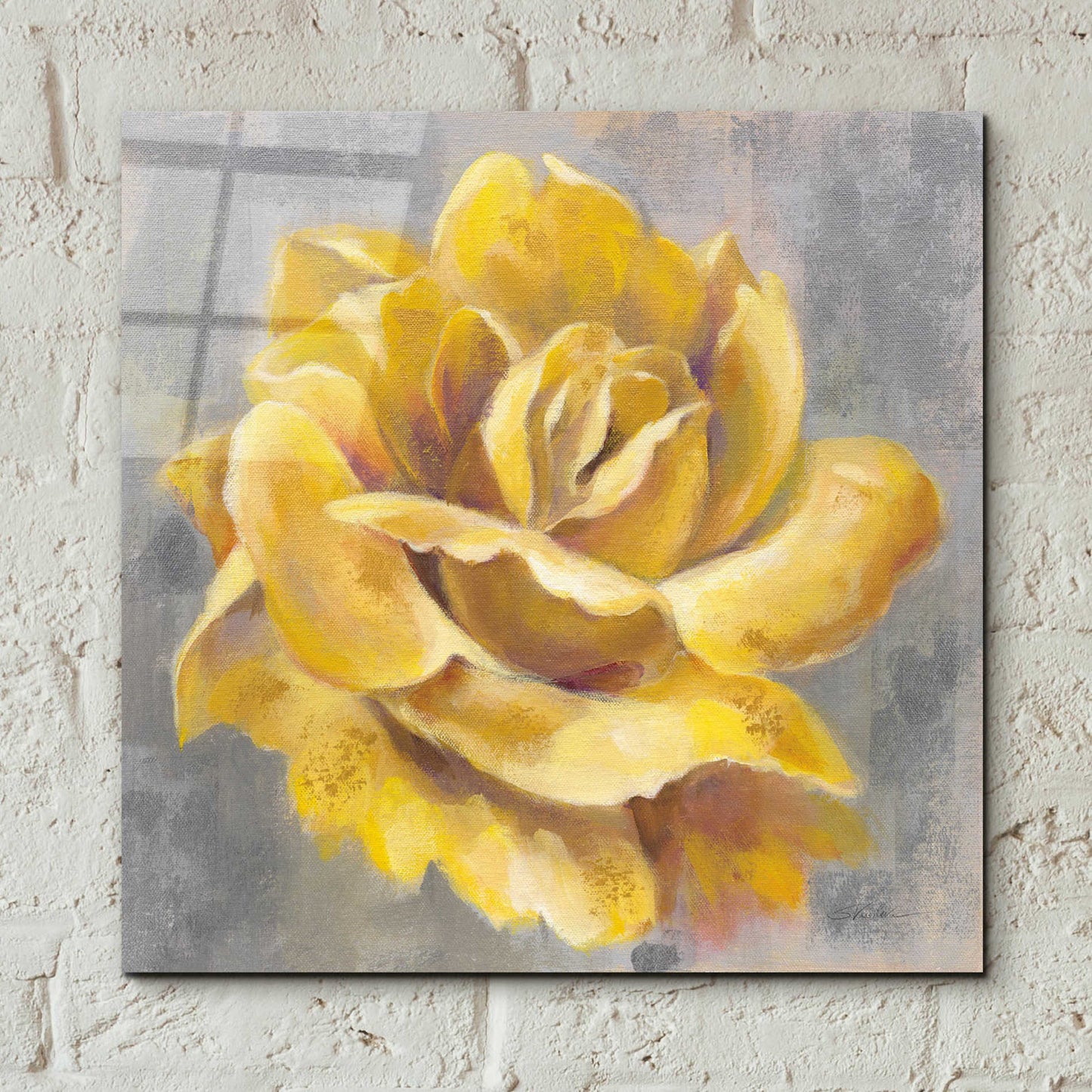 Epic Art 'Yellow Roses I' by Silvia Vassileva, Acrylic Glass Wall Art,12x12