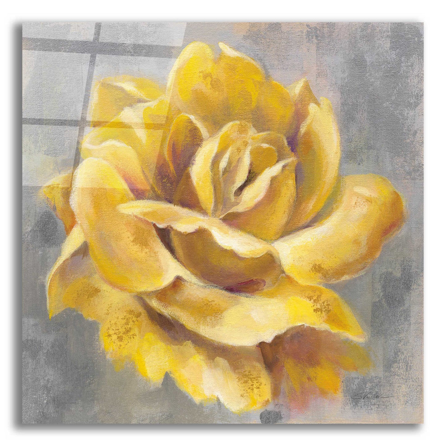 Epic Art 'Yellow Roses I' by Silvia Vassileva, Acrylic Glass Wall Art,12x12