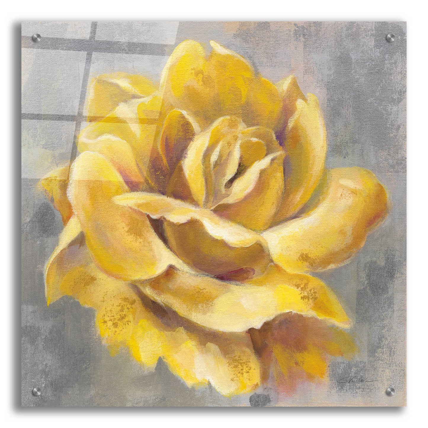 Epic Art 'Yellow Roses I' by Silvia Vassileva, Acrylic Glass Wall Art,24x24