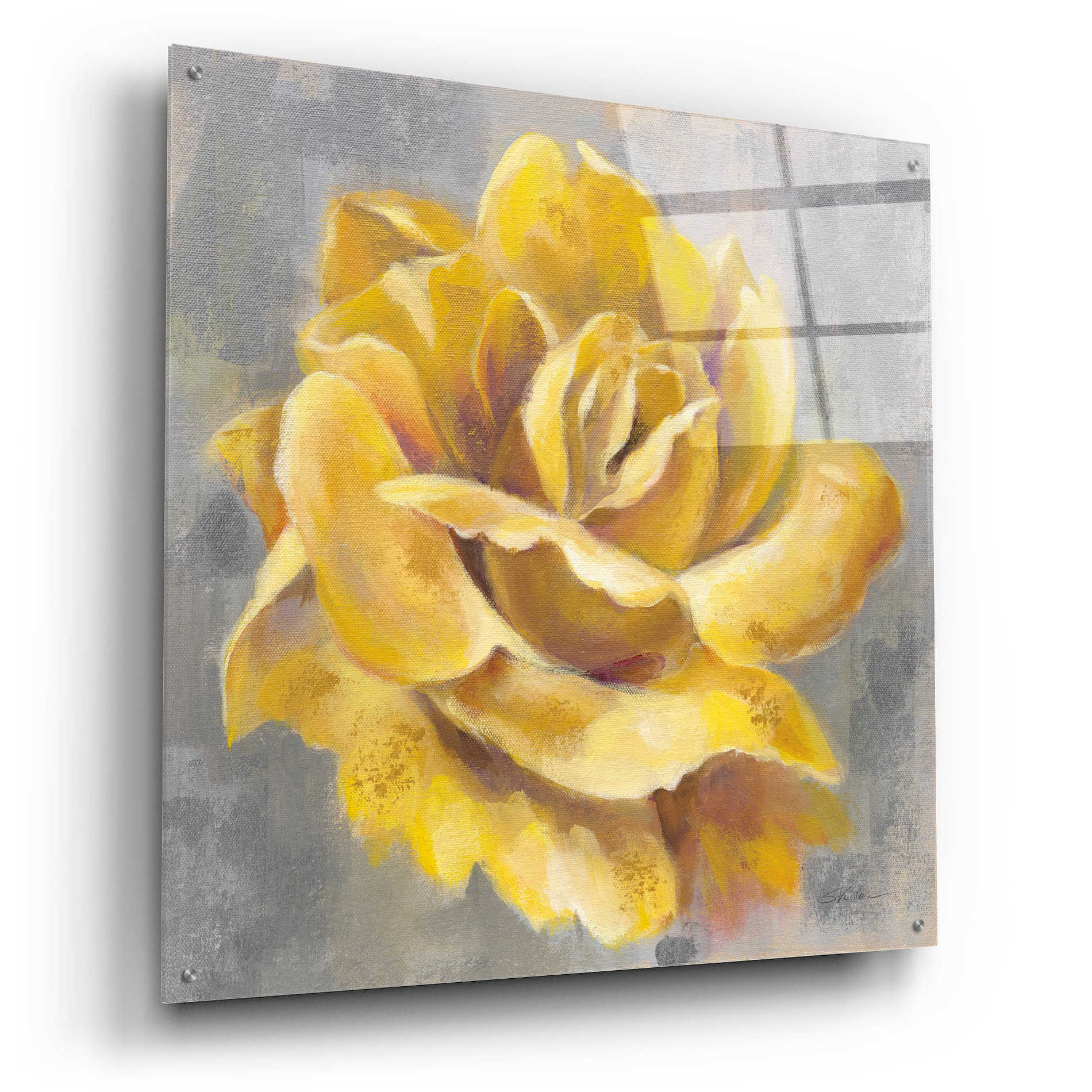 Epic Art 'Yellow Roses I' by Silvia Vassileva, Acrylic Glass Wall Art,36x36