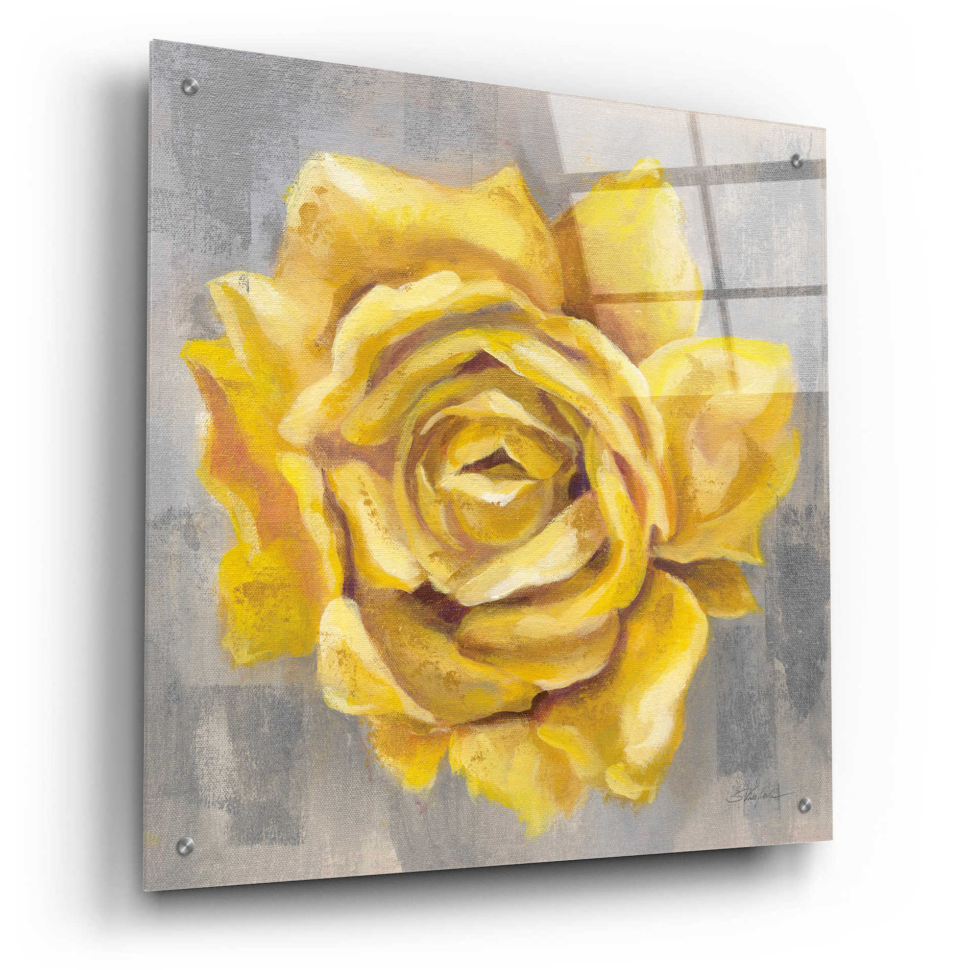 Epic Art 'Yellow Roses II' by Silvia Vassileva, Acrylic Glass Wall Art,24x24