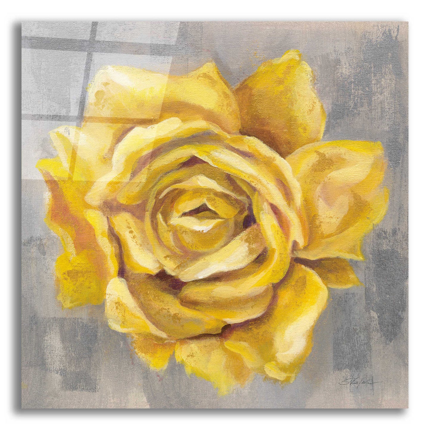 Epic Art 'Yellow Roses II' by Silvia Vassileva, Acrylic Glass Wall Art