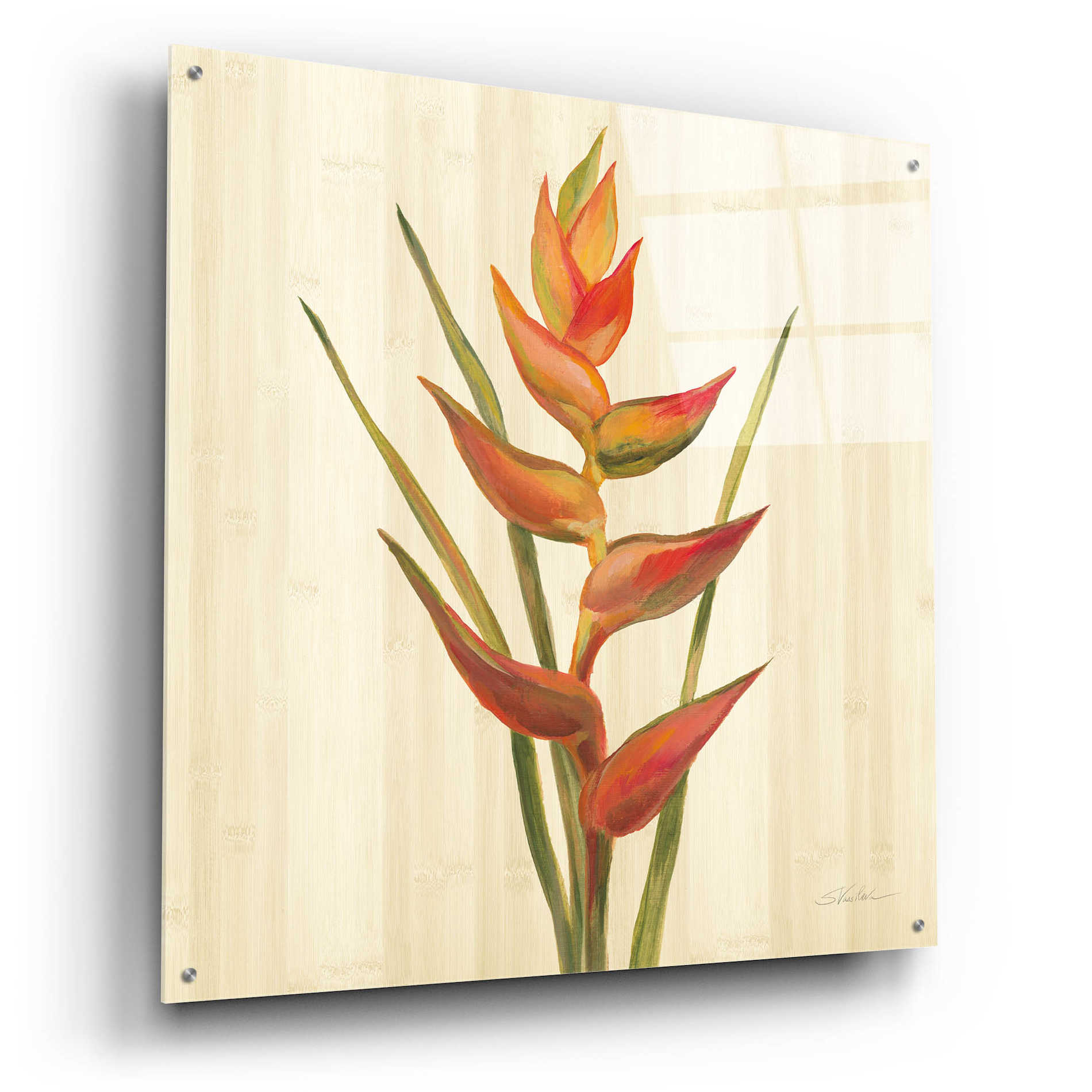 Epic Art 'Tropical Garden I' by Silvia Vassileva, Acrylic Glass Wall Art,36x36