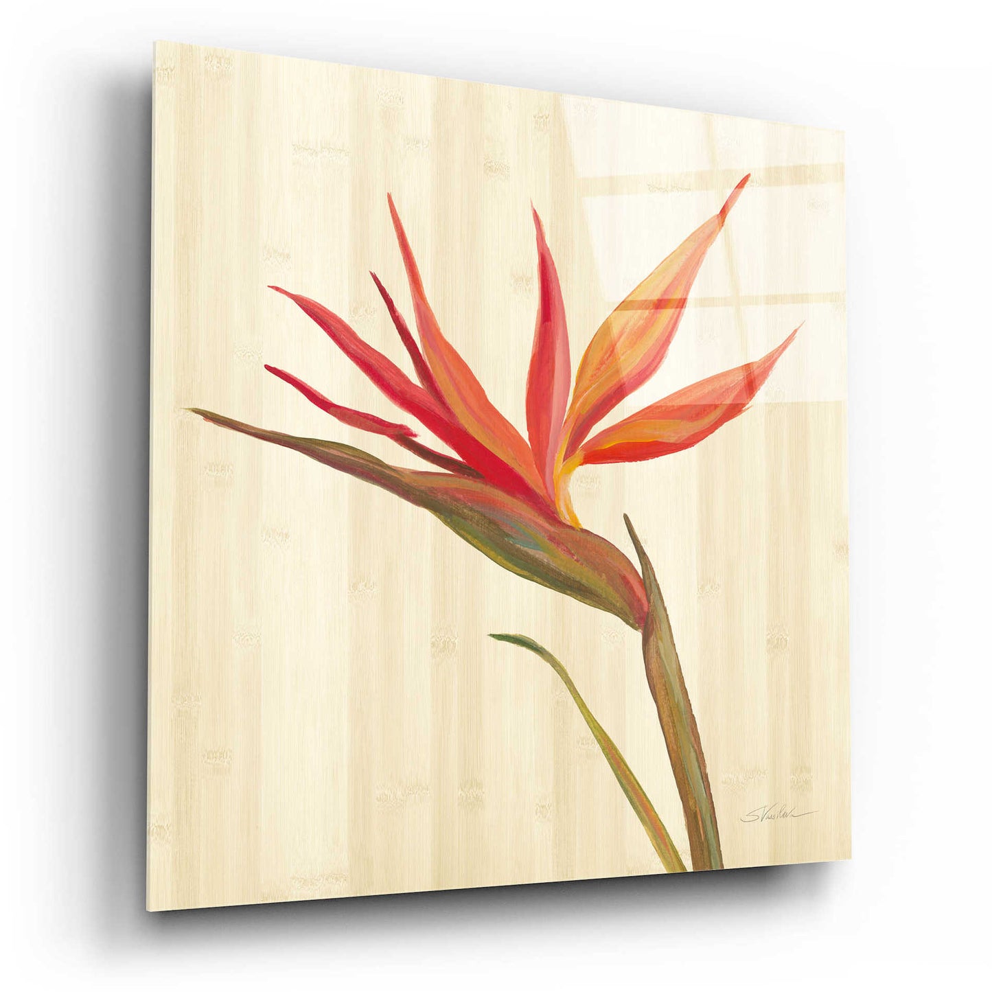 Epic Art 'Tropical Garden IV' by Silvia Vassileva, Acrylic Glass Wall Art,12x12