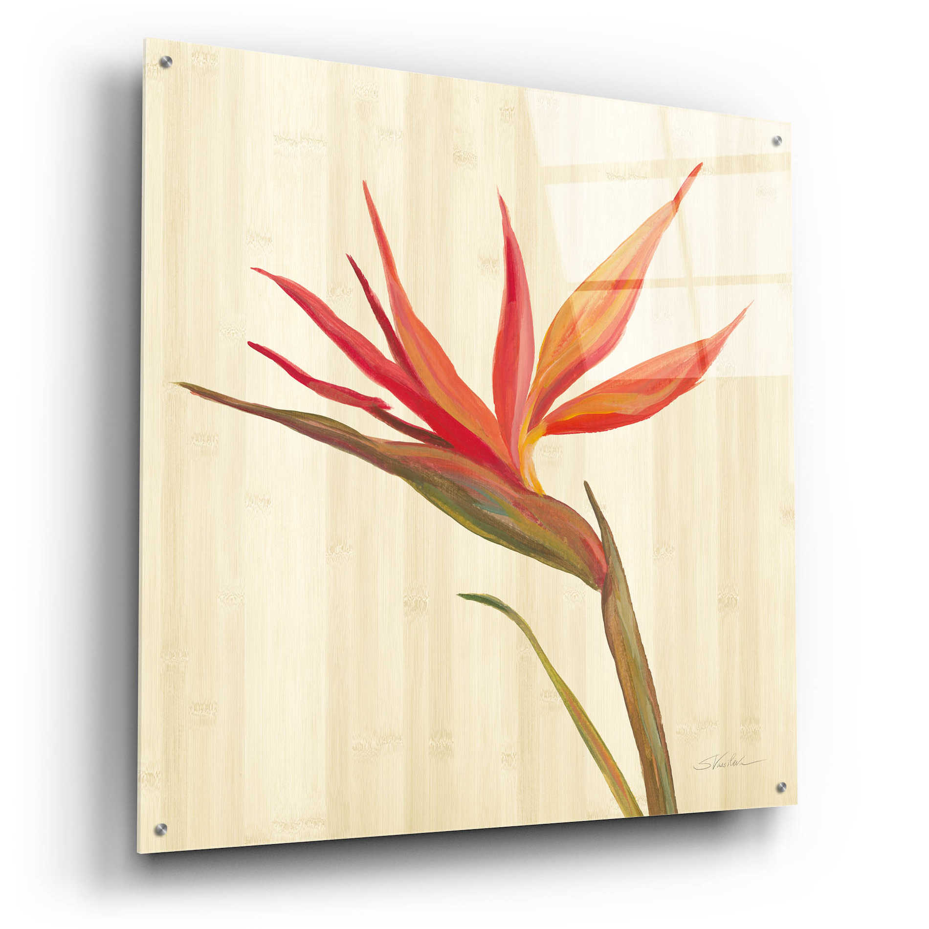 Epic Art 'Tropical Garden IV' by Silvia Vassileva, Acrylic Glass Wall Art,36x36