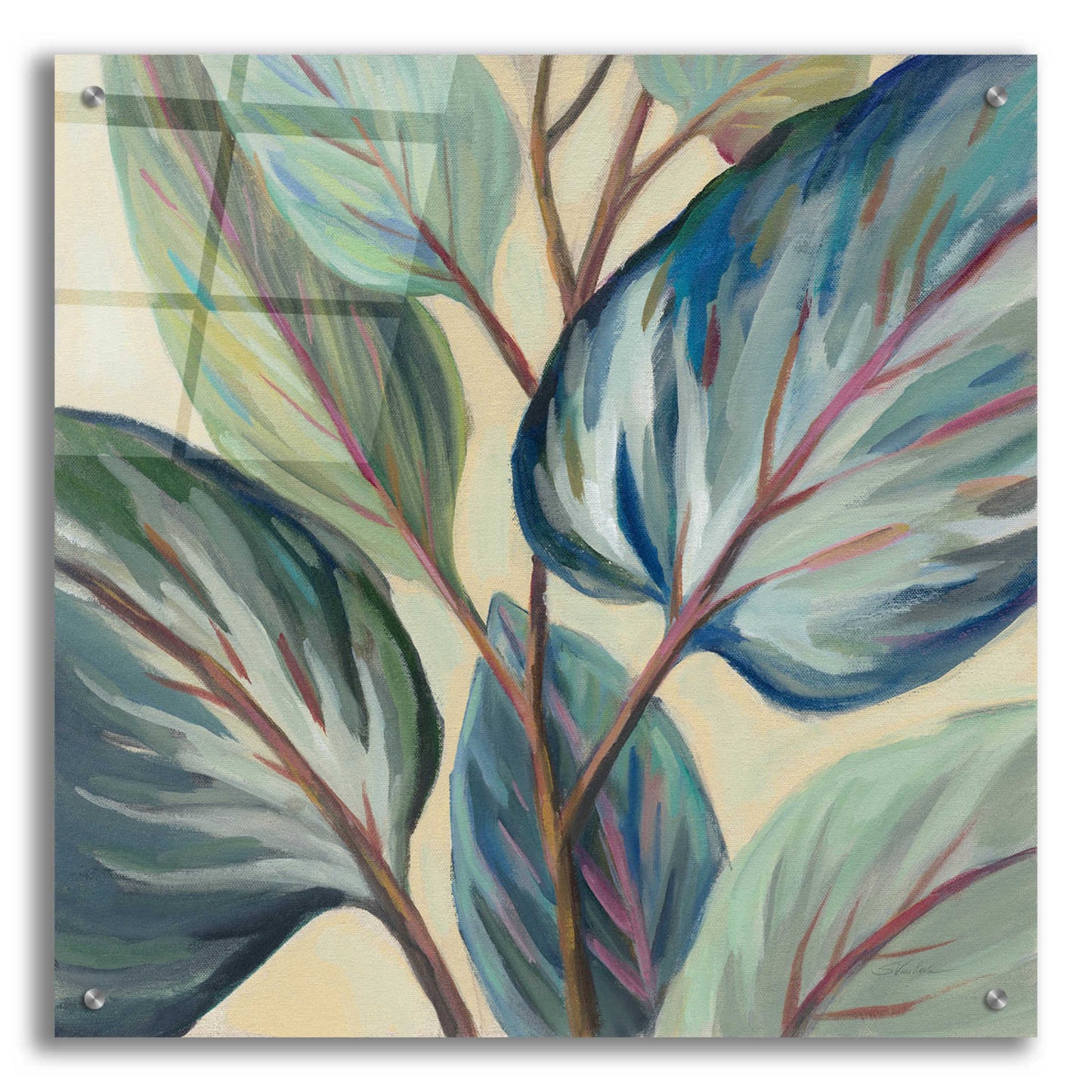 Epic Art 'Greenhouse Leaves' by Silvia Vassileva, Acrylic Glass Wall Art,24x24