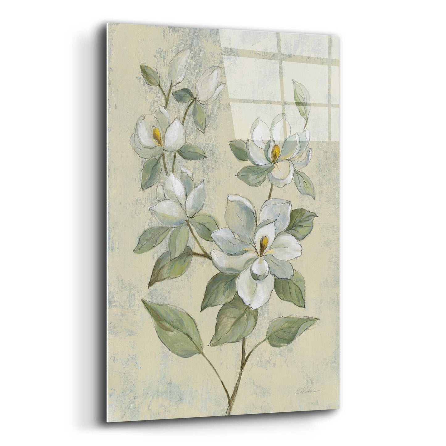 Epic Art 'Sage Magnolia' by Silvia Vassileva, Acrylic Glass Wall Art,16x24