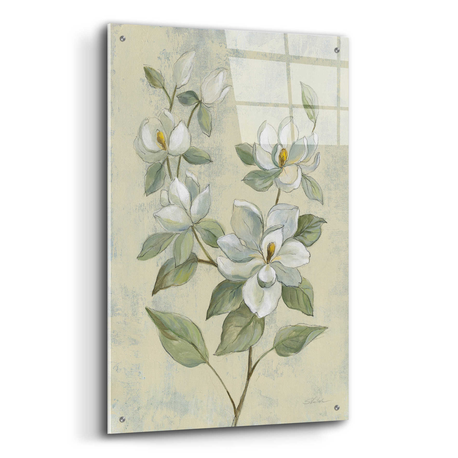 Epic Art 'Sage Magnolia' by Silvia Vassileva, Acrylic Glass Wall Art,24x36