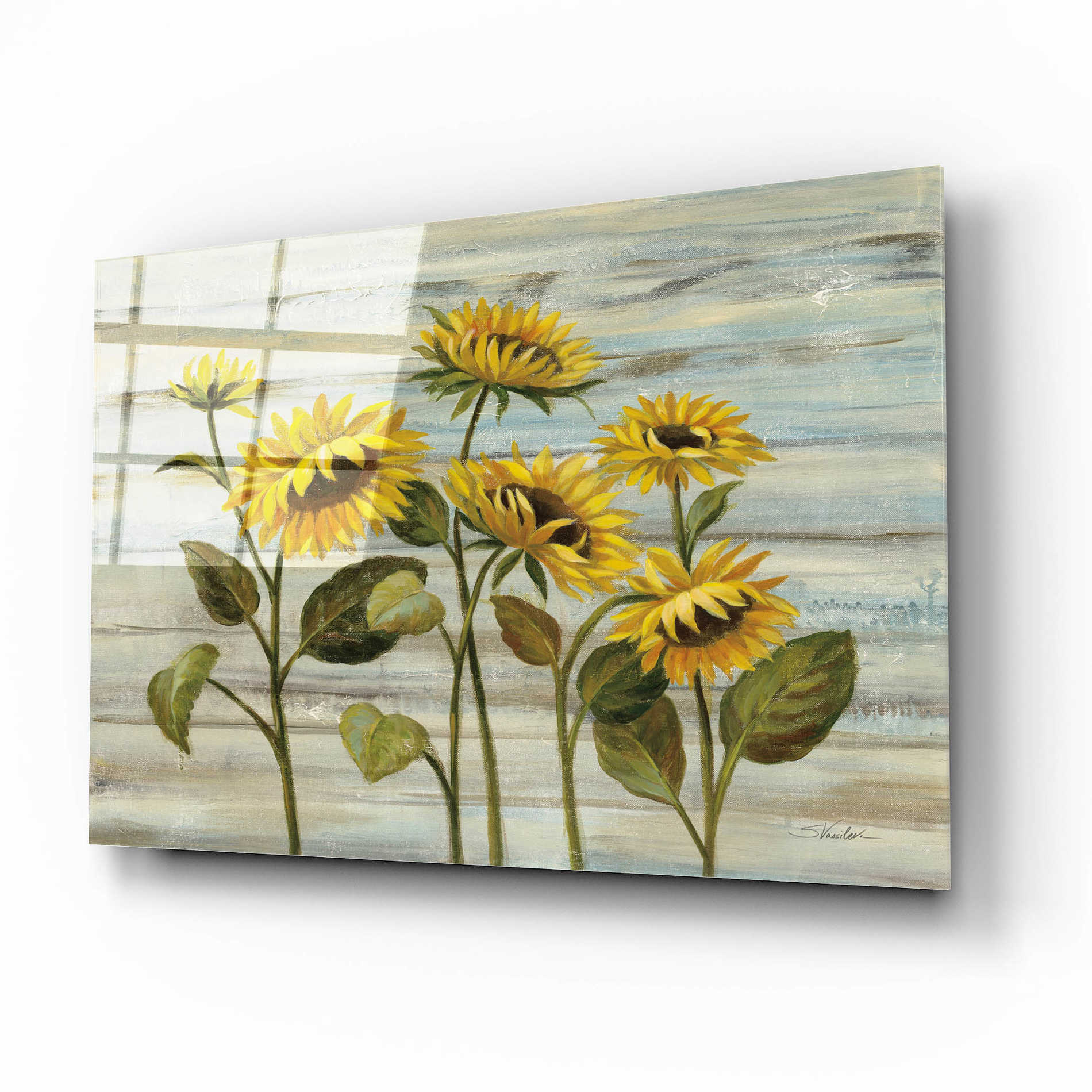 Epic Art 'Cottage Sunflowers' by Silvia Vassileva, Acrylic Glass Wall Art,16x12