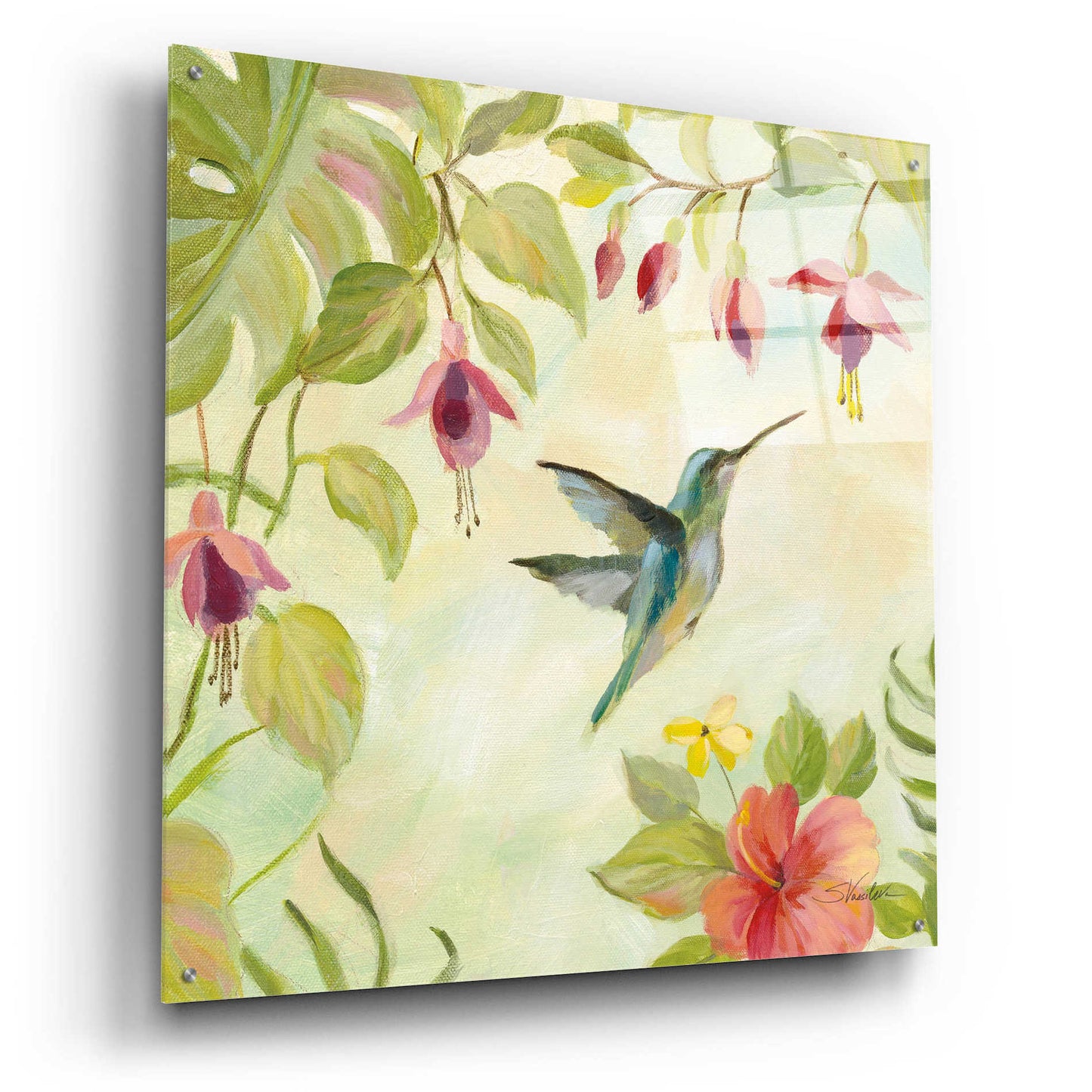 Epic Art 'Hummingbirds Song II' by Silvia Vassileva, Acrylic Glass Wall Art,36x36