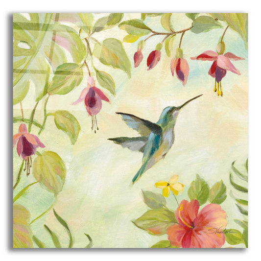 Epic Art 'Hummingbirds Song II' by Silvia Vassileva, Acrylic Glass Wall Art