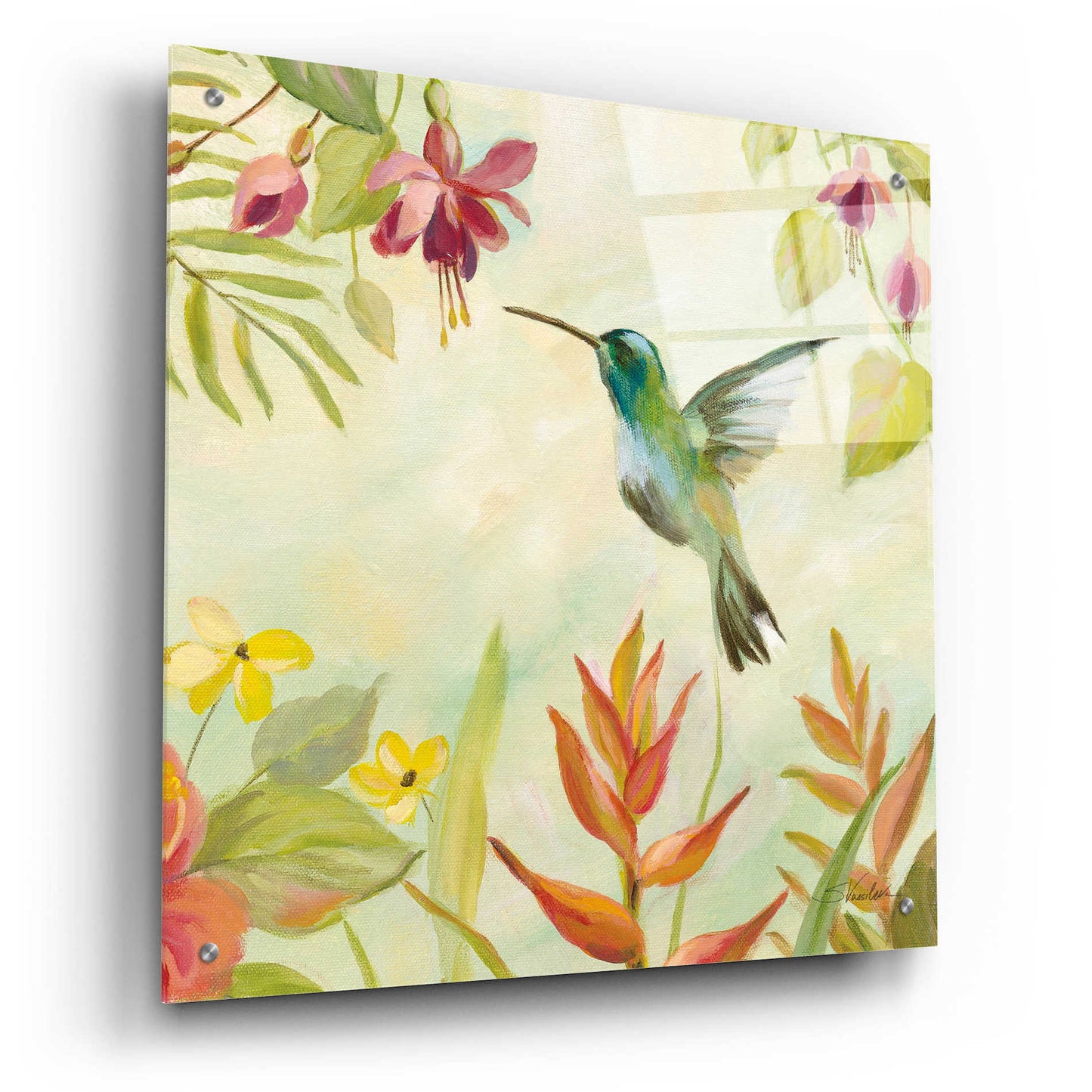 Epic Art 'Hummingbirds Song III' by Silvia Vassileva, Acrylic Glass Wall Art,24x24