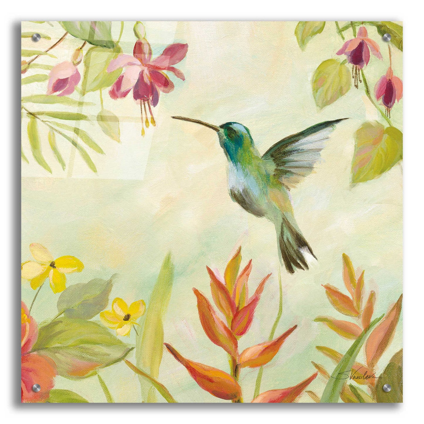 Epic Art 'Hummingbirds Song III' by Silvia Vassileva, Acrylic Glass Wall Art,24x24