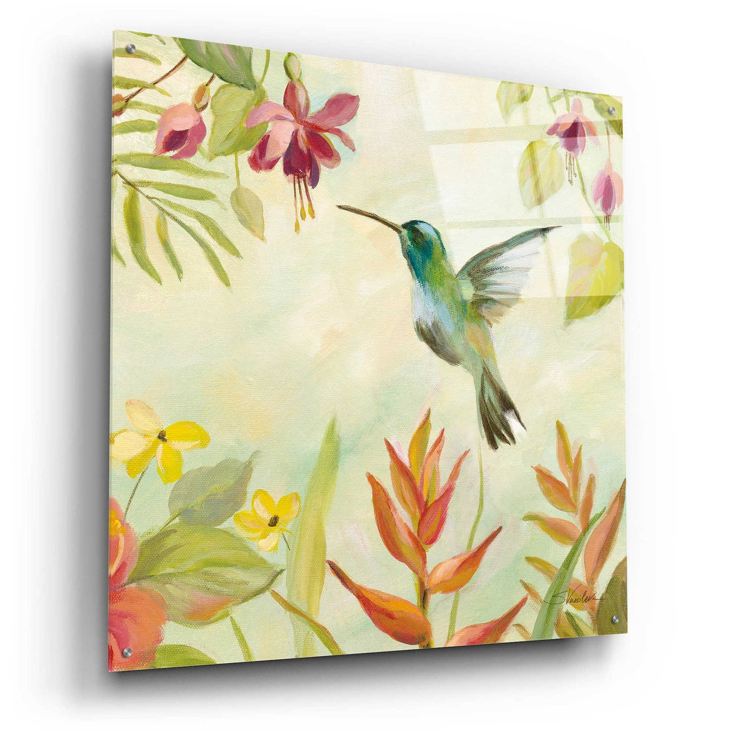 Epic Art 'Hummingbirds Song III' by Silvia Vassileva, Acrylic Glass Wall Art,36x36