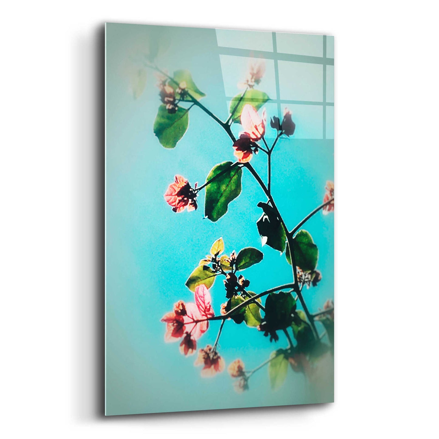 Epic Art 'Bloom & Beauty' by Cesare Bellassai, Acrylic Glass Wall Art,12x16