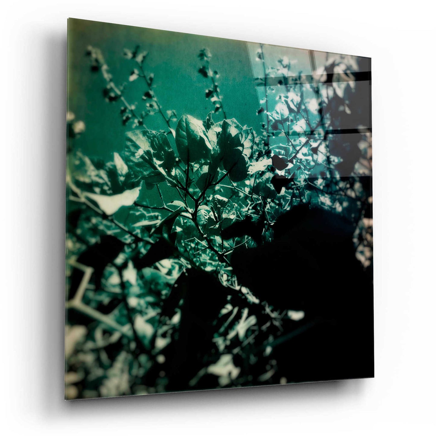 Epic Art 'Green Poem' by Cesare Bellassai, Acrylic Glass Wall Art,12x12