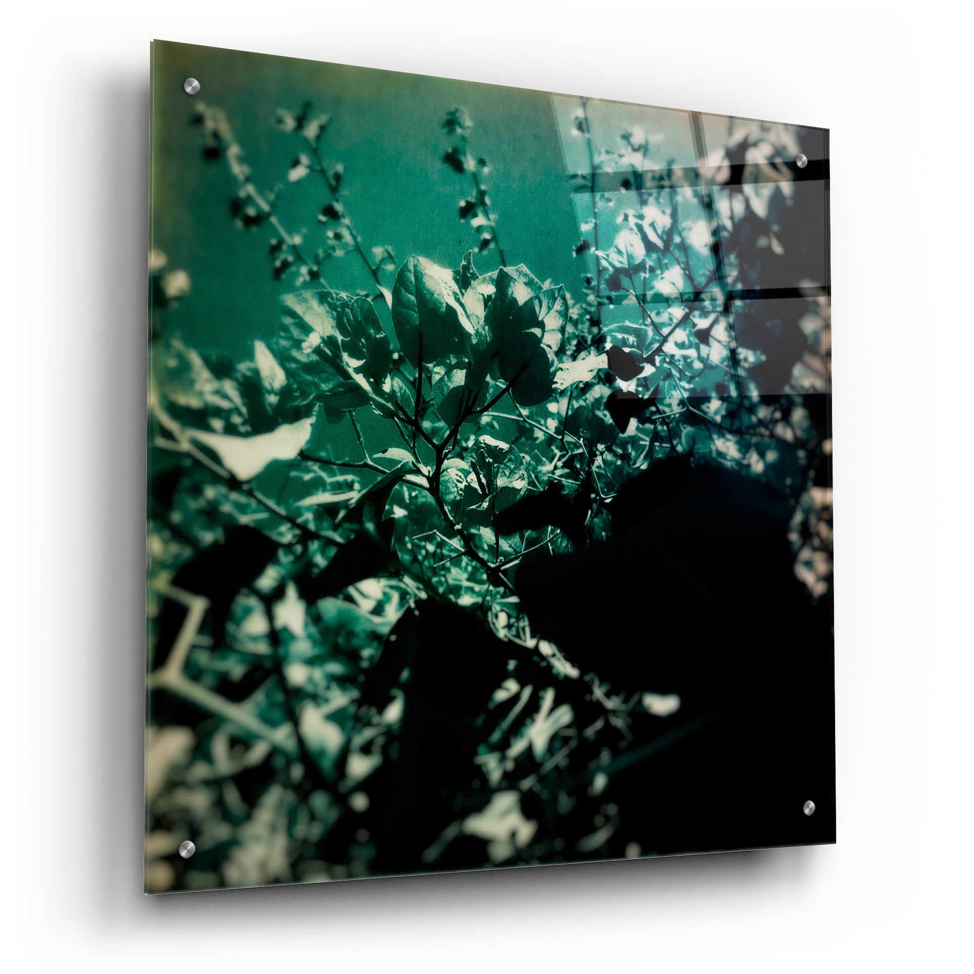 Epic Art 'Green Poem' by Cesare Bellassai, Acrylic Glass Wall Art,24x24